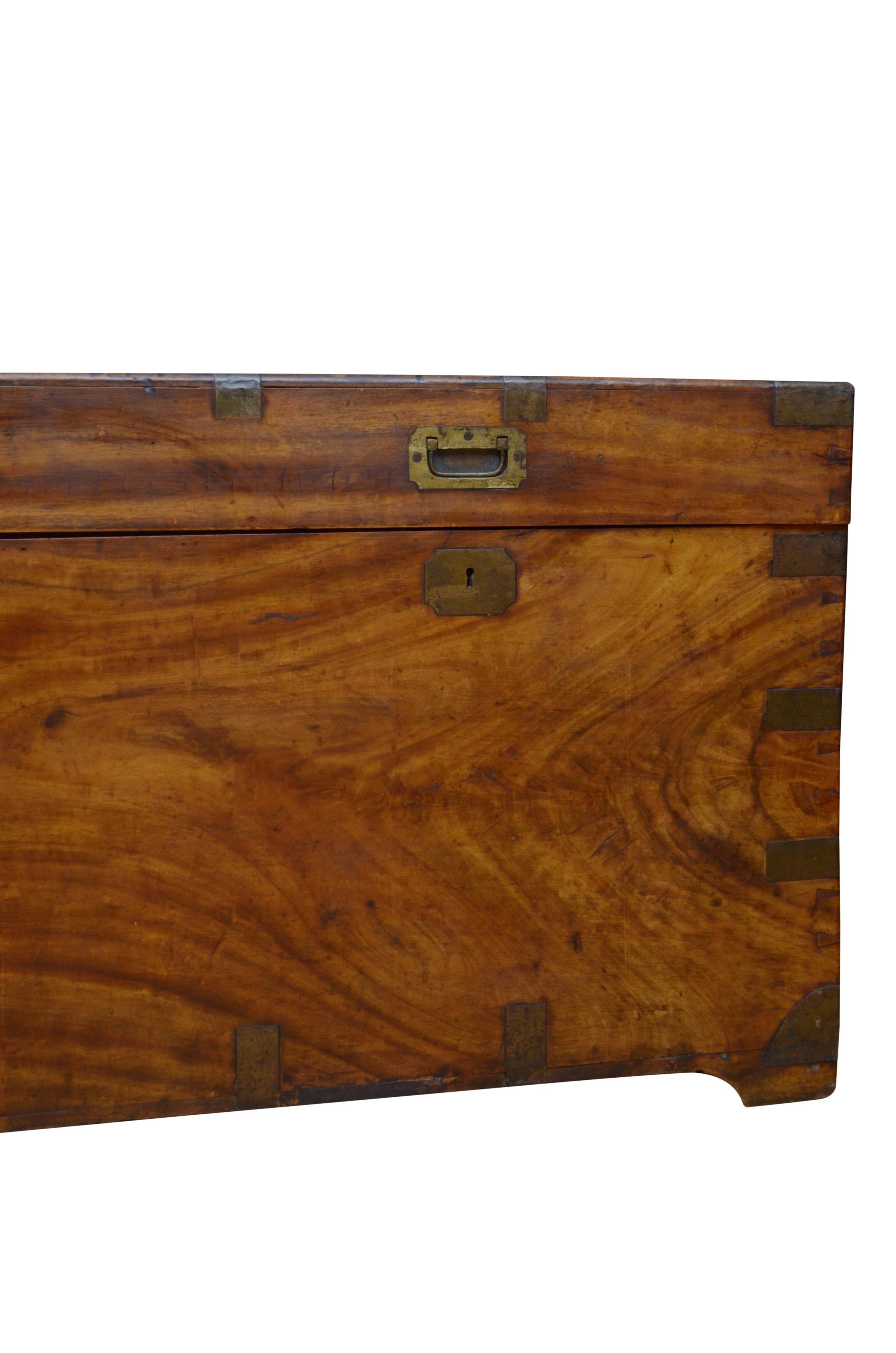 Extra Large 19th Century Camphor Wood Campaign Trunk 9