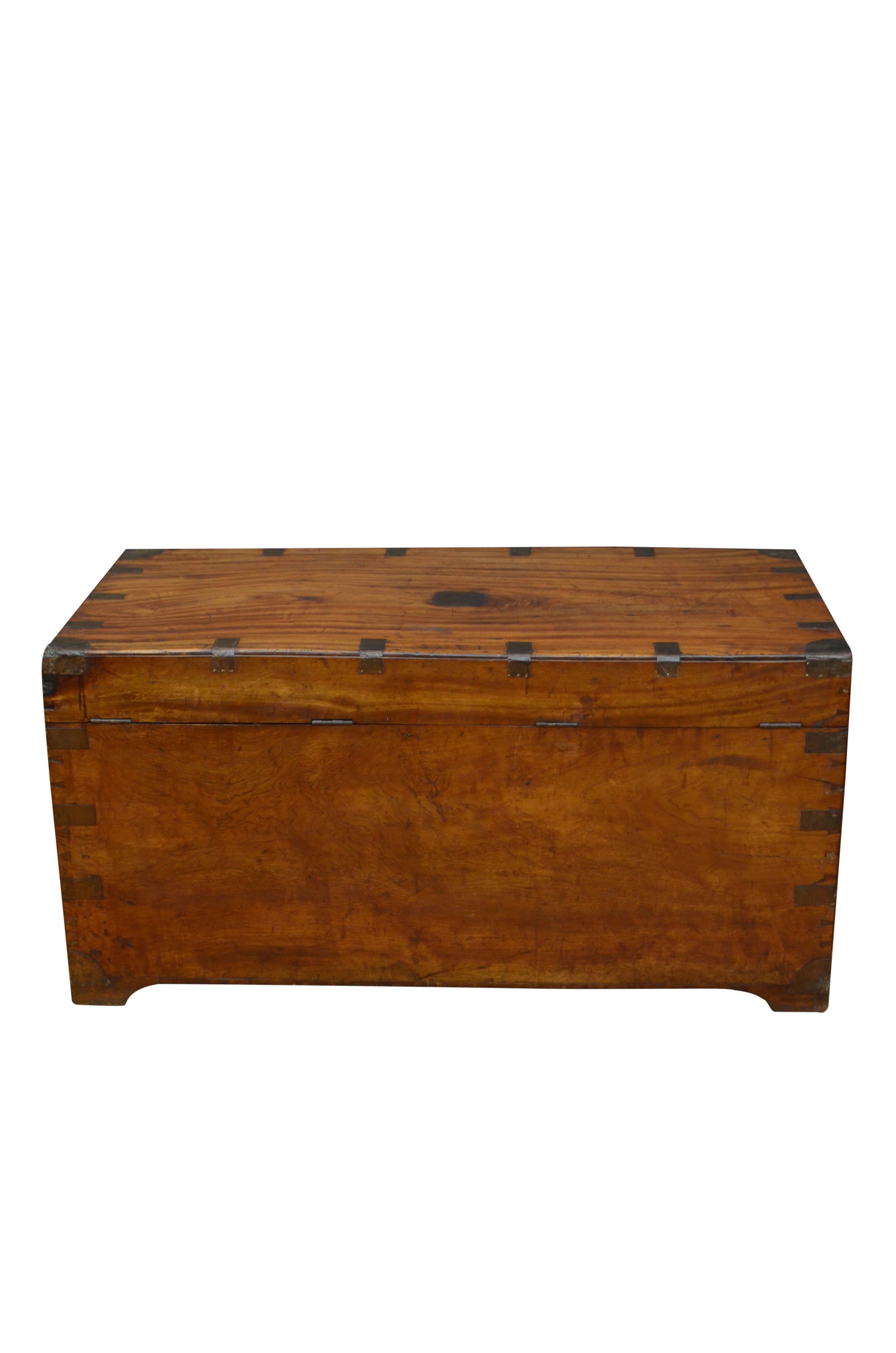 Extra Large 19th Century Camphor Wood Campaign Trunk 10