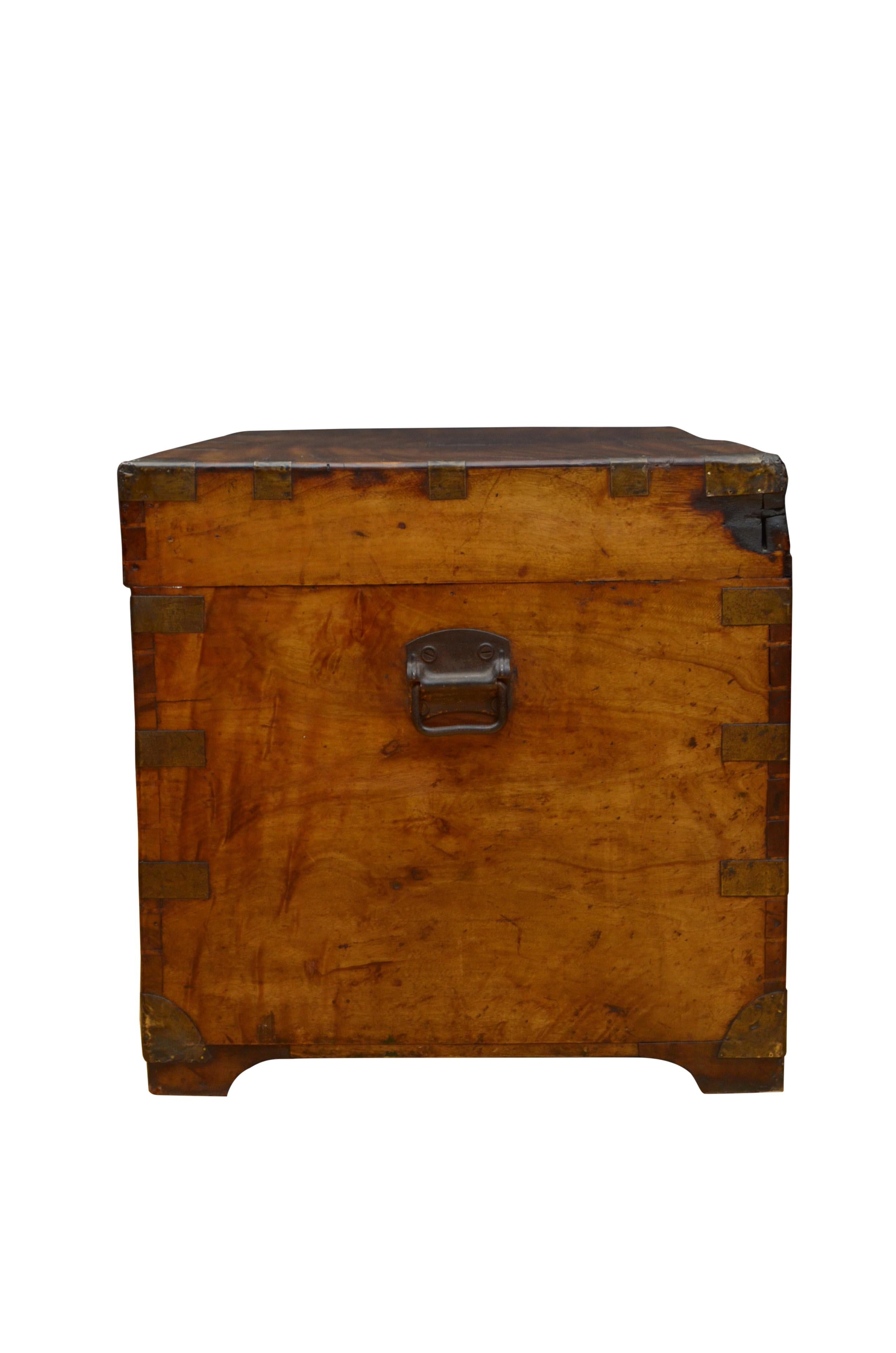 Extra Large 19th Century Camphor Wood Campaign Trunk 14
