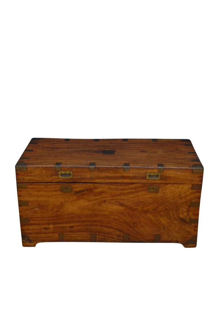 Extra Large 19th Century Camphor Wood Campaign Trunk For Sale at 1stDibs