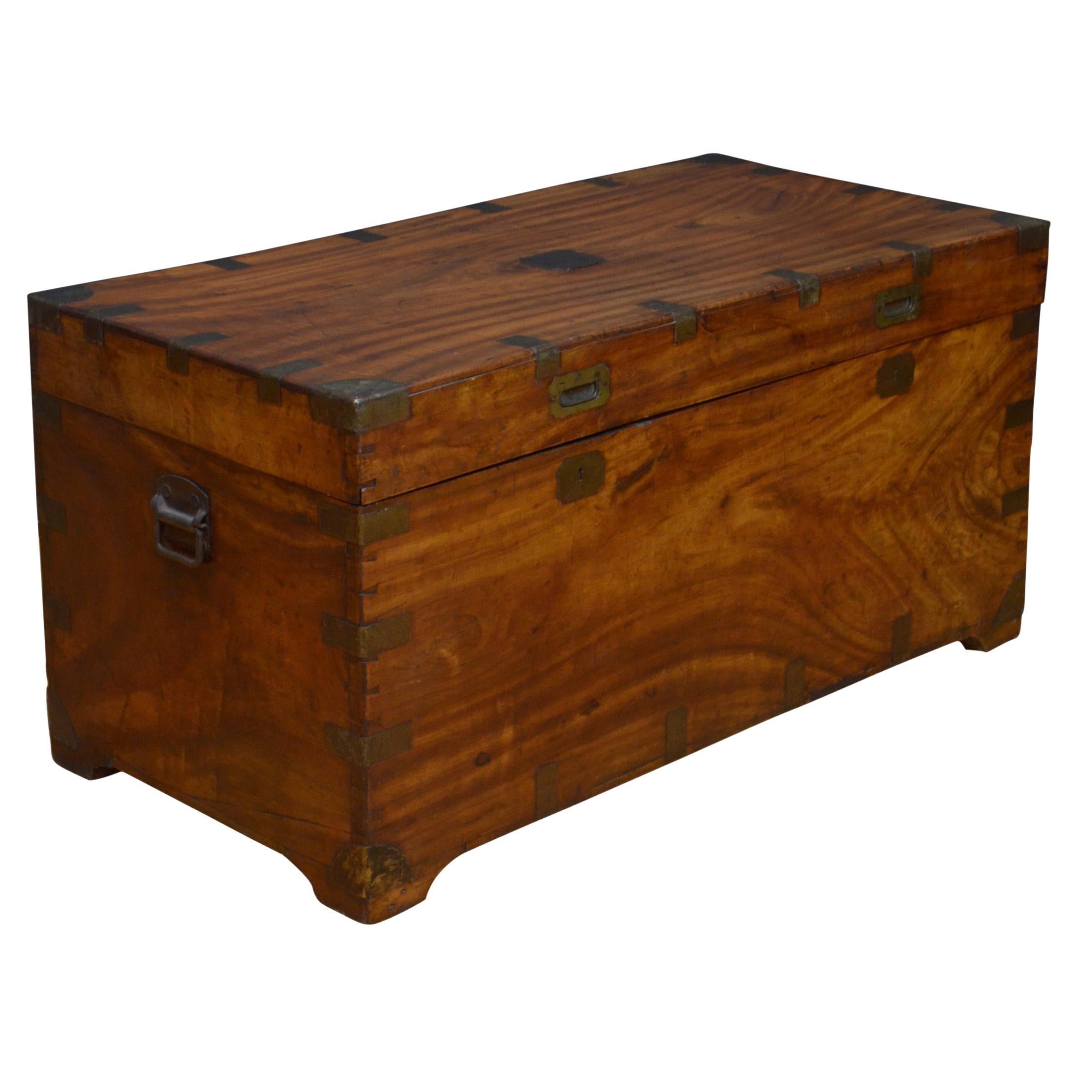 Extra Large 19th Century Camphor Wood Campaign Trunk