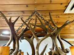 Extra Large Adirondack Resin Antler Chandelier Four Feet Wide