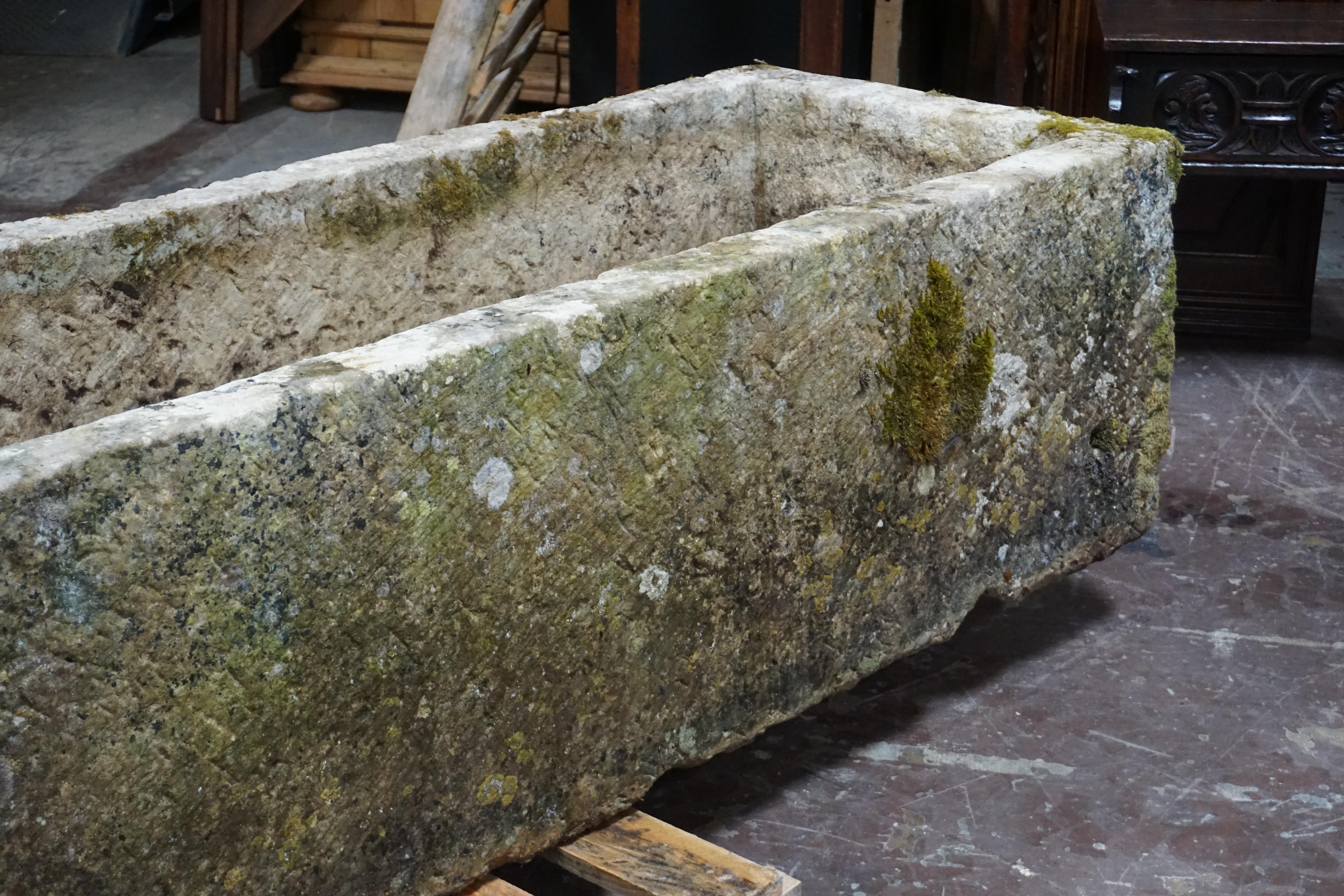 Extra Large Antique French Trough In Good Condition In Dallas, TX