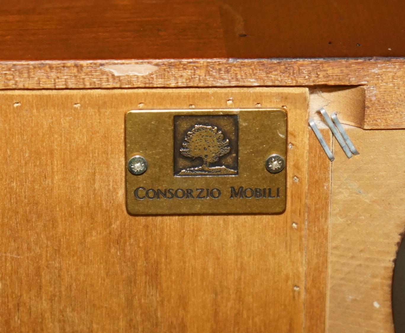EXTRA GRAND CONSORZIO MOBILI TALLBOY DRAWERs IN CHERRY WOOD, HUGE STORAGE en vente 5