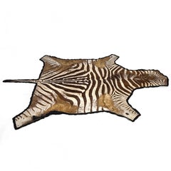 Extra Large Distressed Antique Burchell Zebra Hide Rug