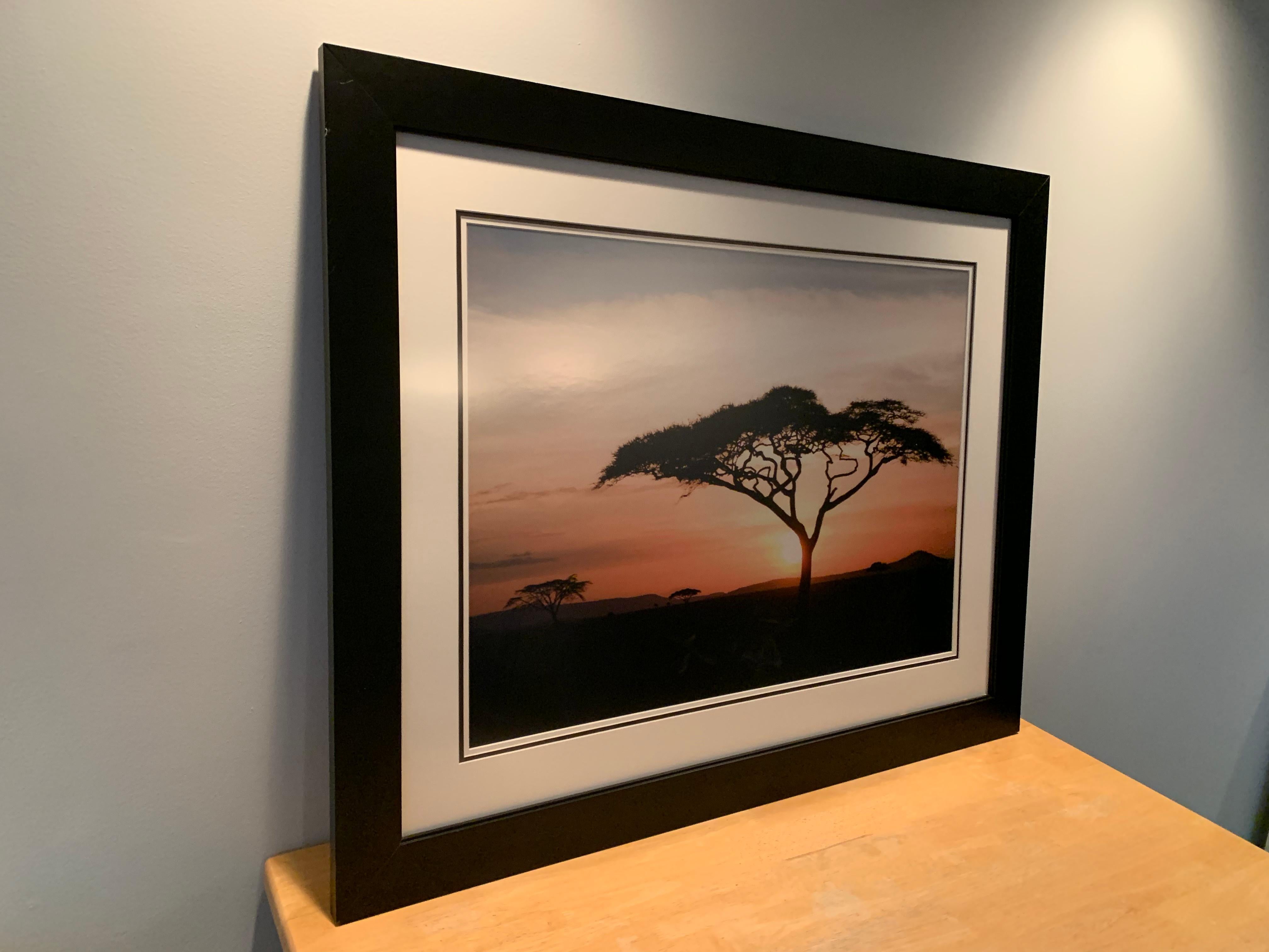 Extra large framed photograph of African landscape, circa 1980s.
   