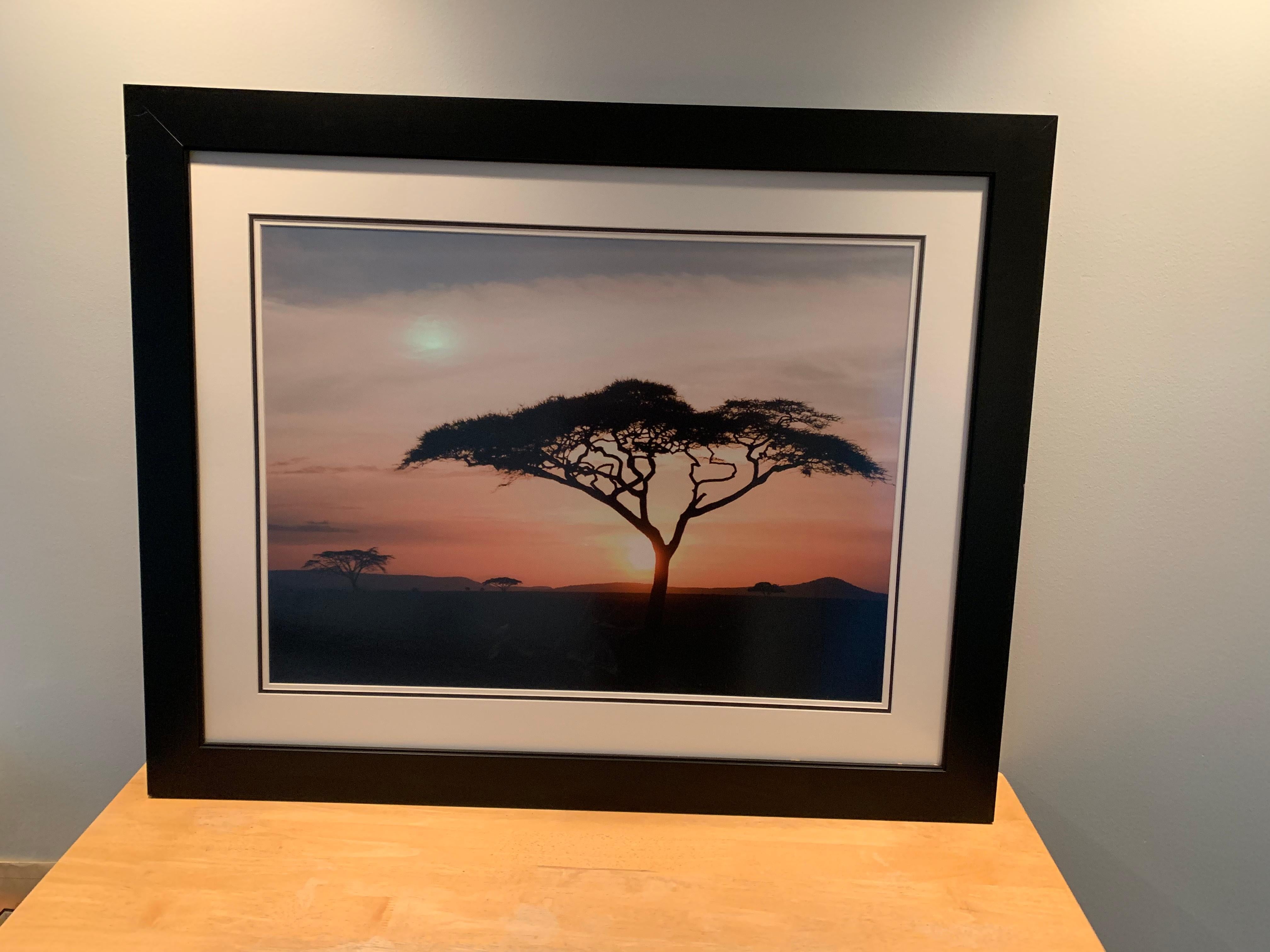 Hand-Crafted Extra Large Framed Photograph of African Landscape, circa 1980s
