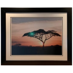 Extra Large Framed Photograph of African Landscape, circa 1980s