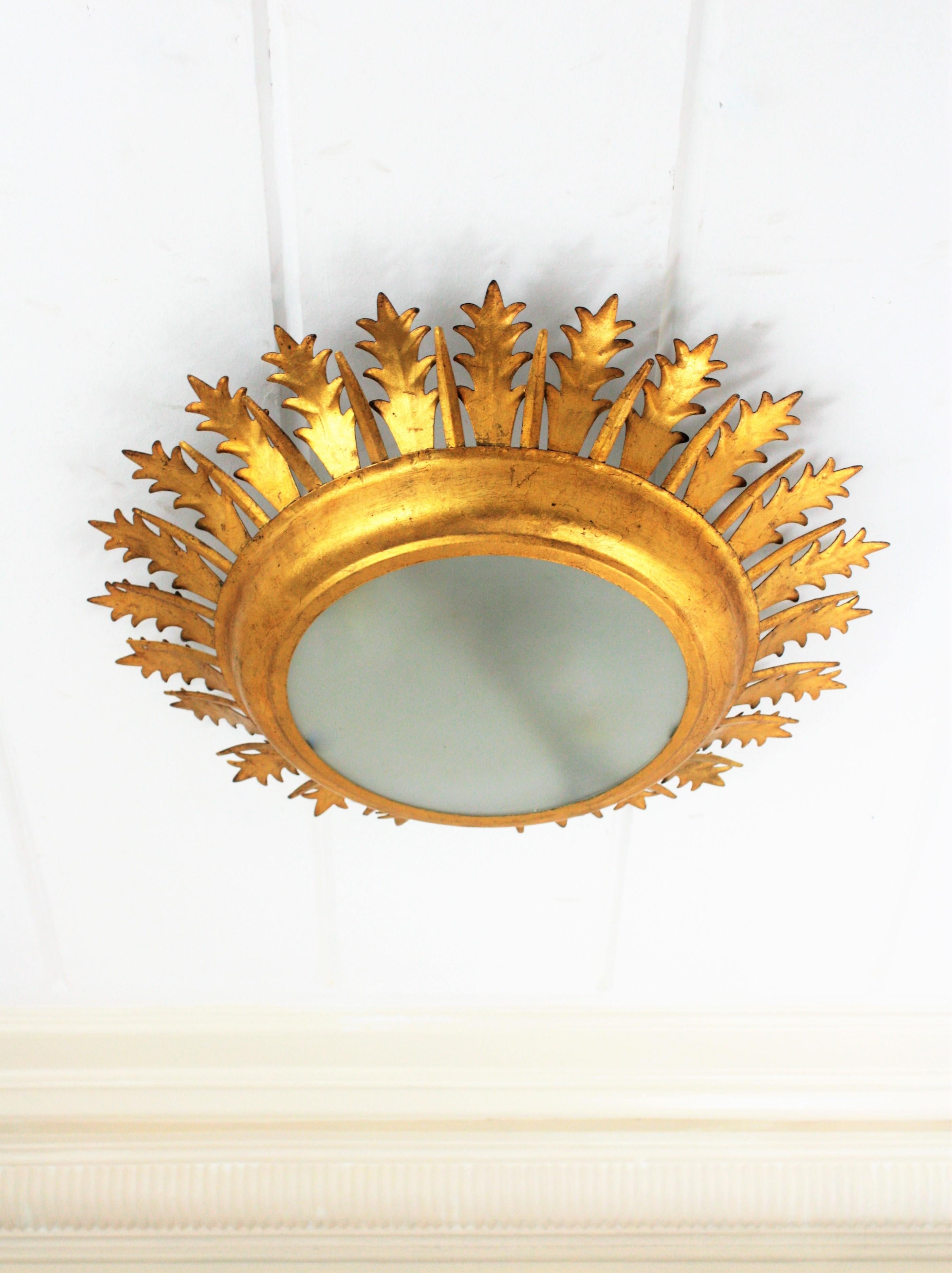 crown ceiling light