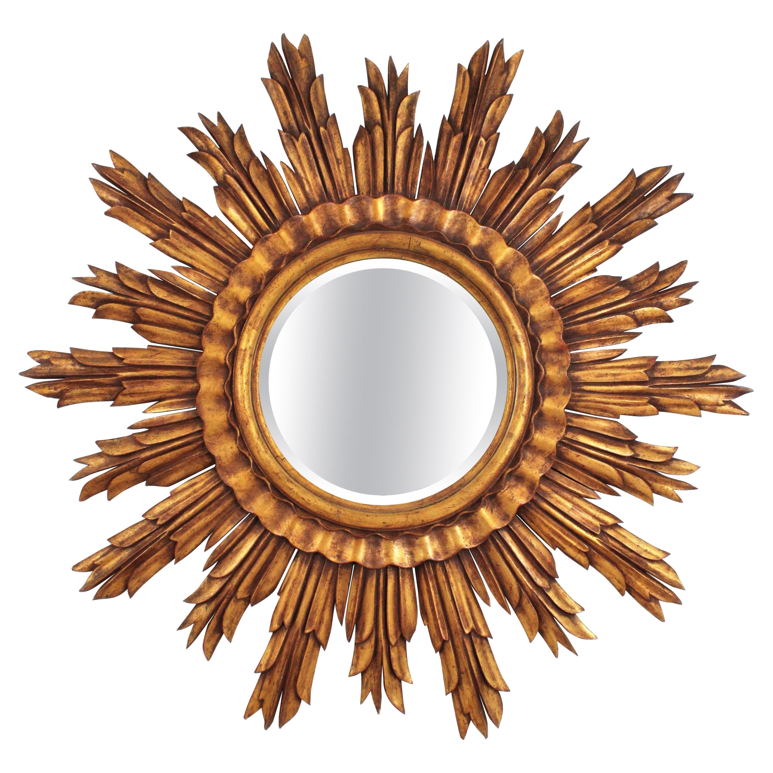 Extra Large Giltwood Carved Sunburst Mirror, France, 1950s // 47, 6 inches