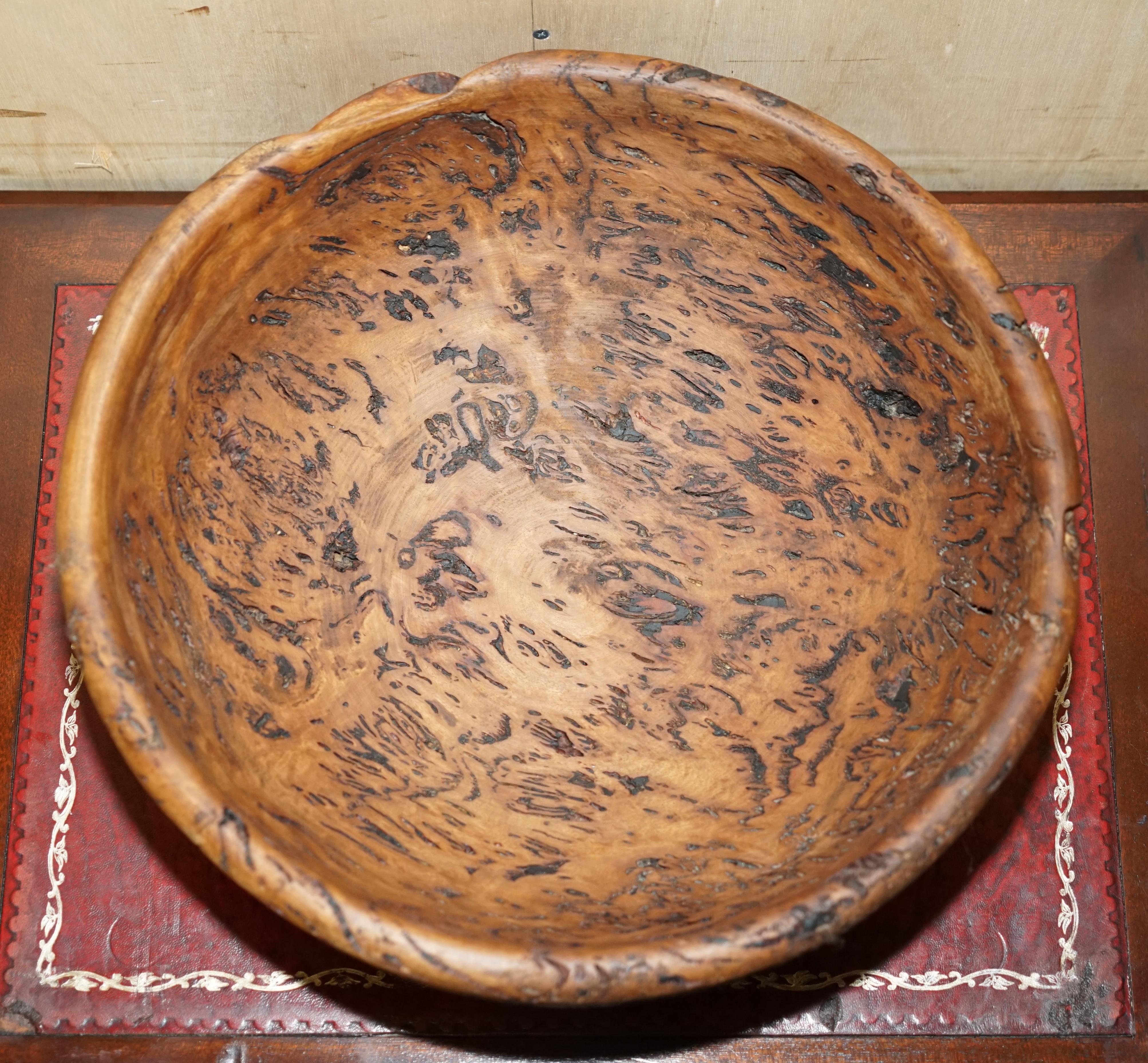 20th Century EXTRA LARGE HEAVILY BURRED EUCALYPTUS BOWL SIGNED B MOSS FOR FRUiT ETC MUST SEE For Sale