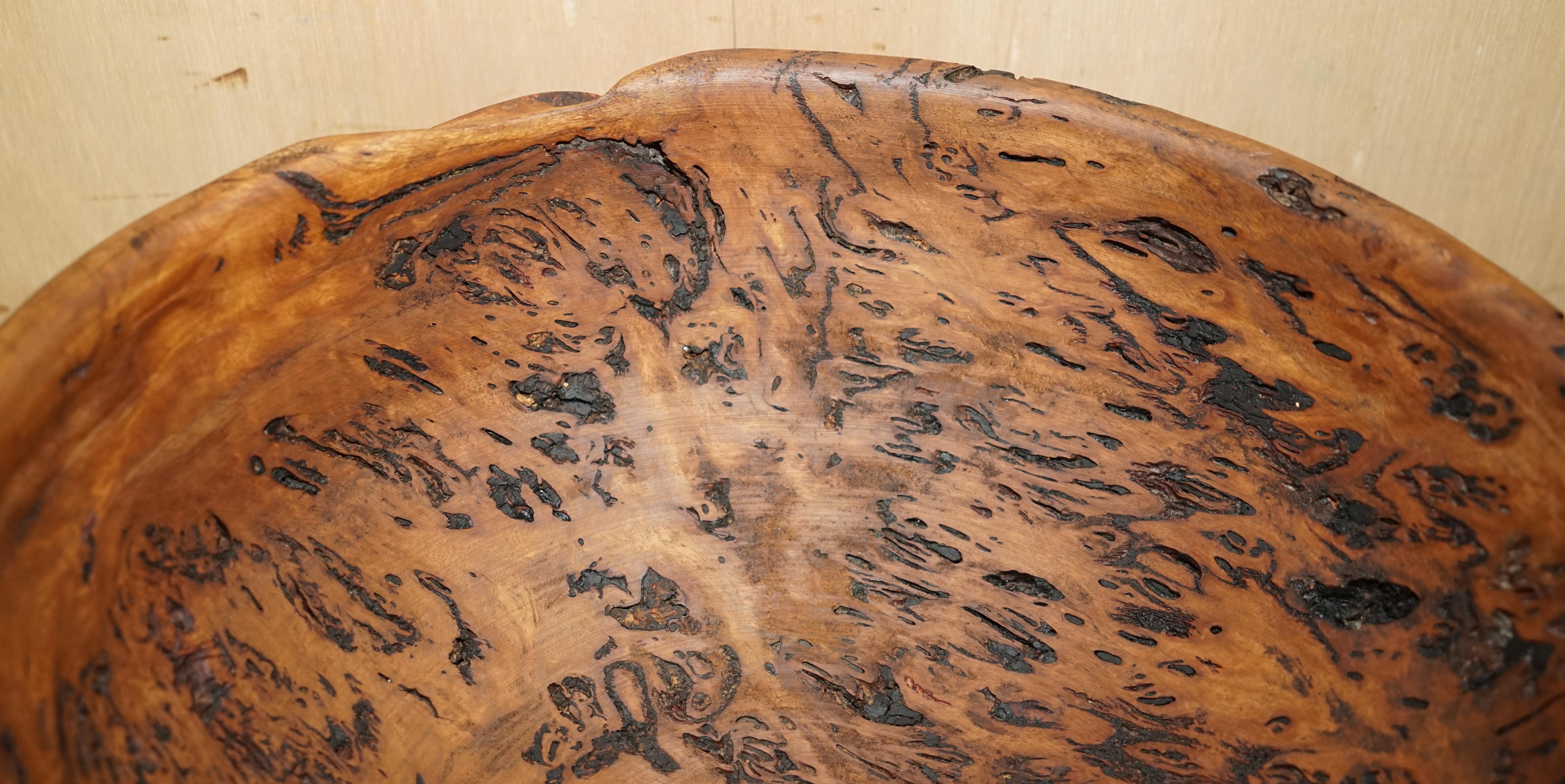 Wood EXTRA LARGE HEAVILY BURRED EUCALYPTUS BOWL SIGNED B MOSS FOR FRUiT ETC MUST SEE For Sale