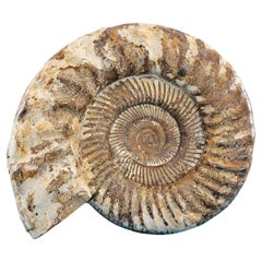 Esculturas