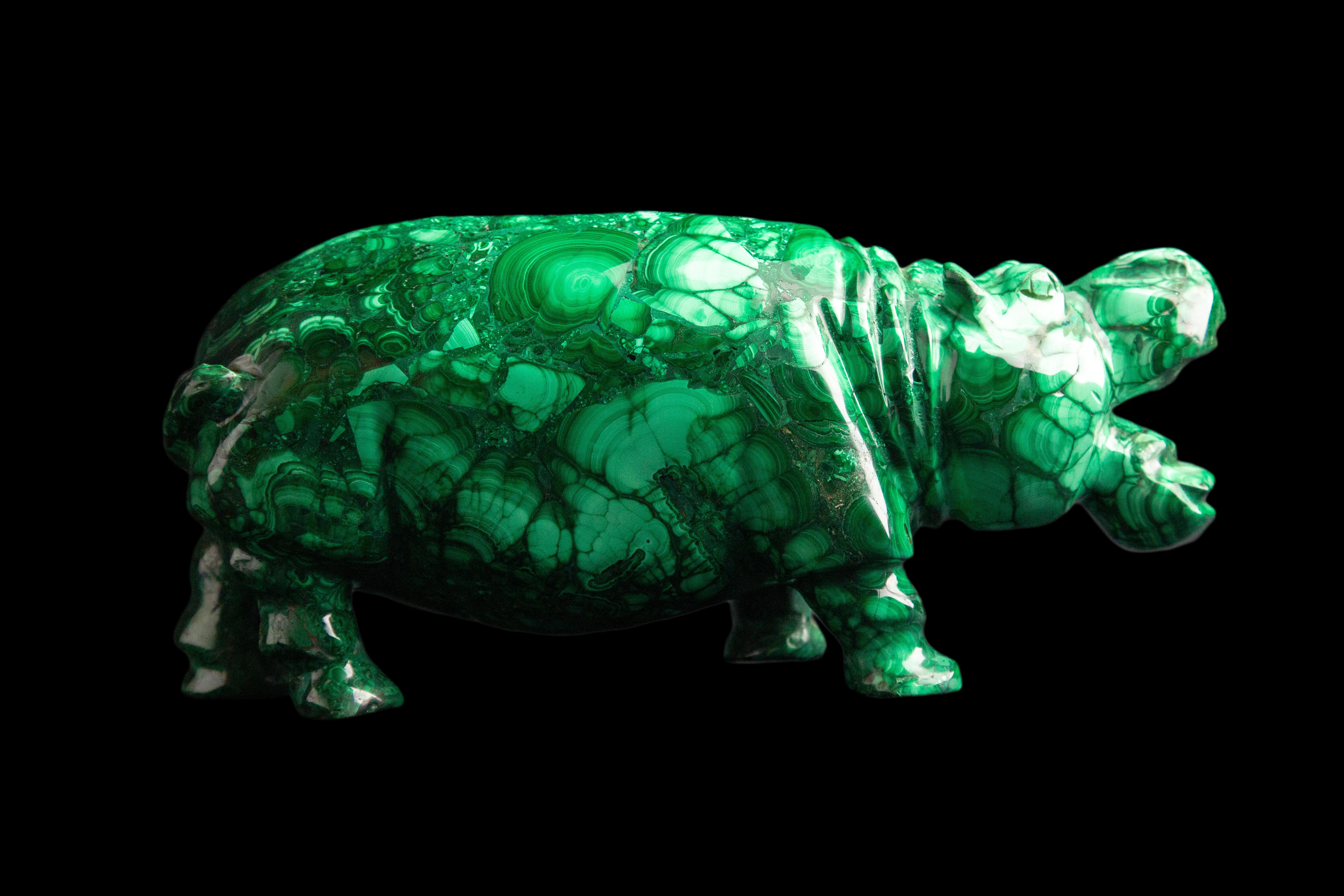 green gucci hippo