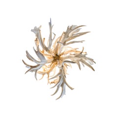 Extra Large Natural Whitetail Antler Fireball Chandelier