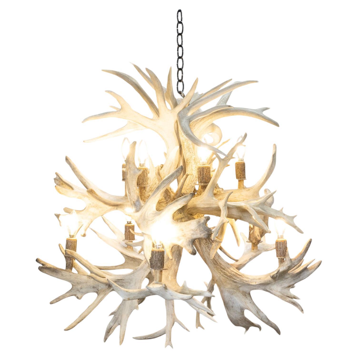 Candelabro de Bola de Fuego de Asta de Cola Blanca Natural Extra Grande