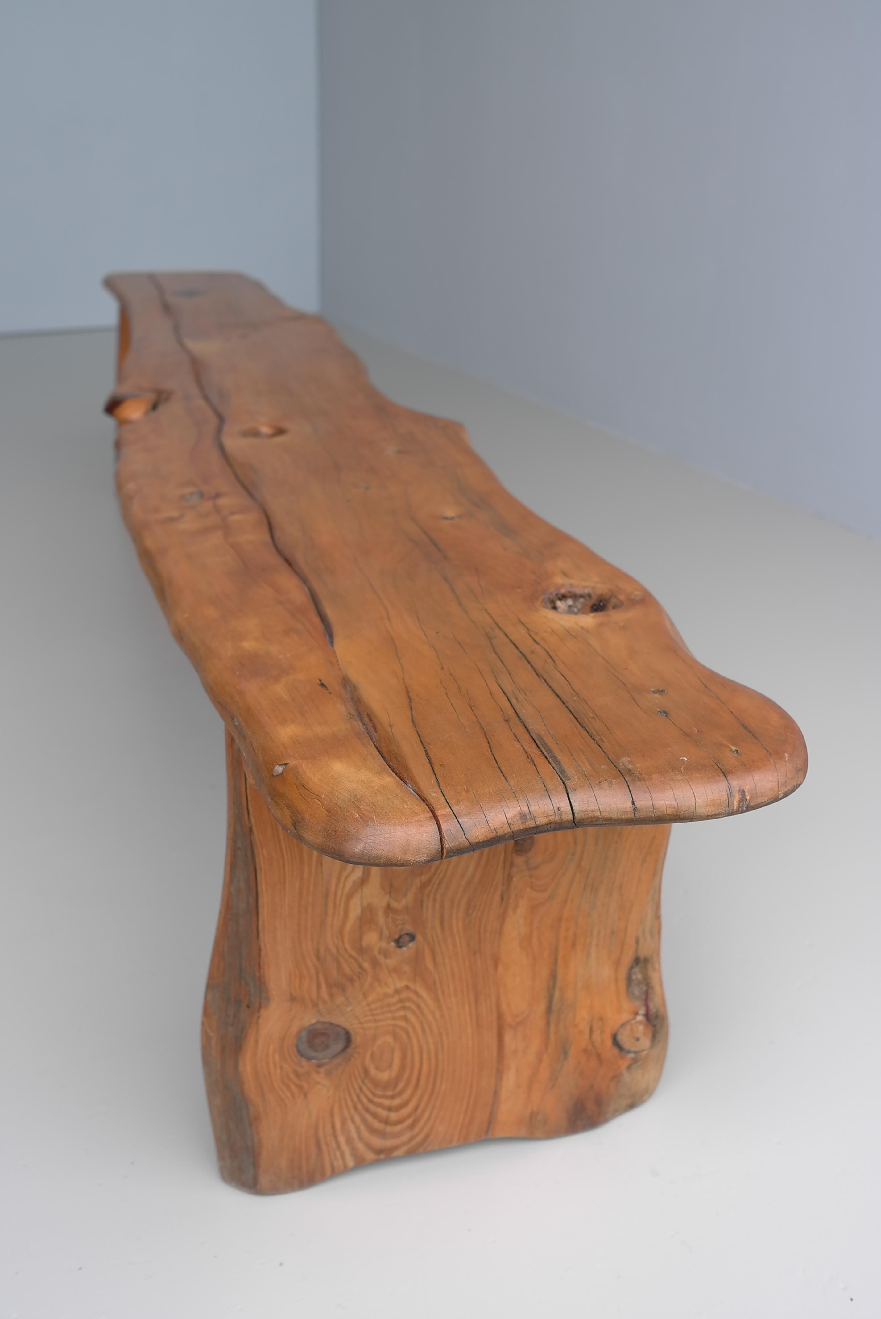 Extra Large Organic Acacia live edge Mid-Century modern wooden Bench  In Good Condition For Sale In Den Haag, NL