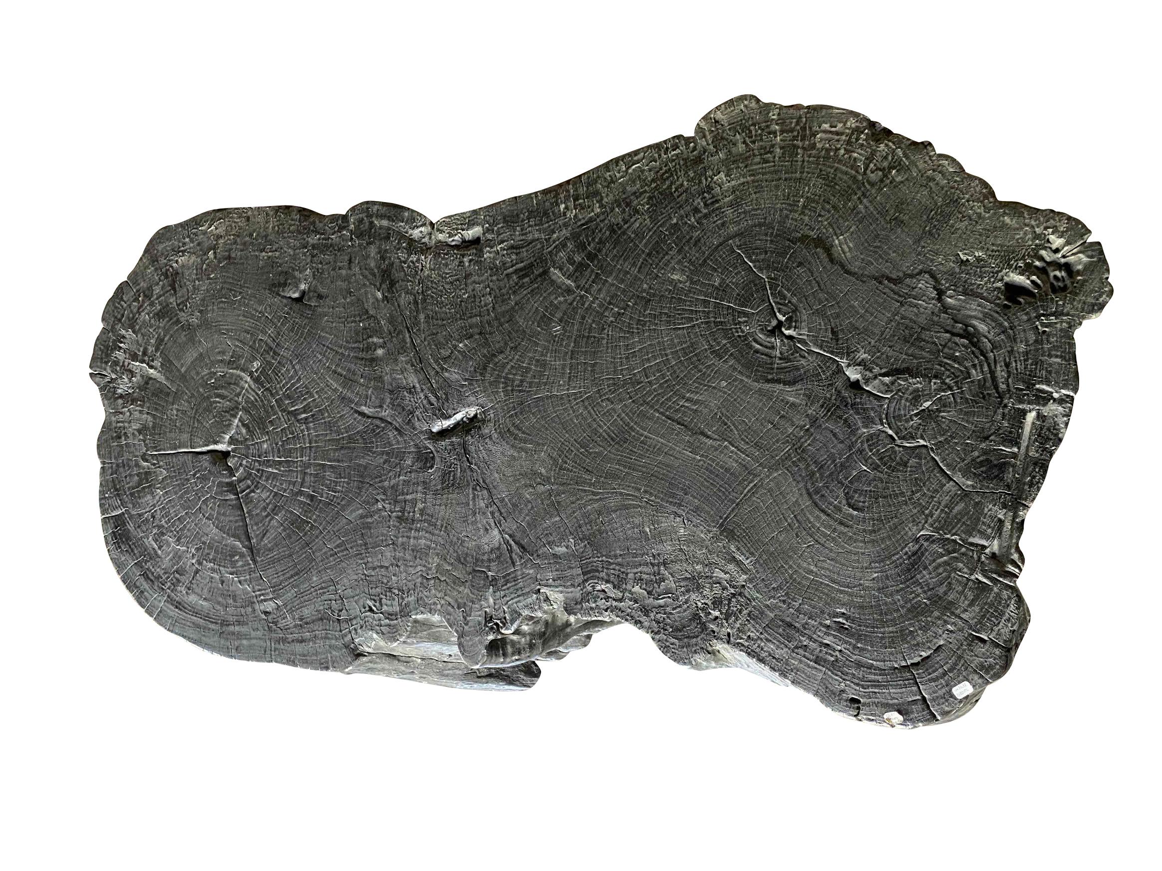 Indonesian Extra Large Organic Shape Lychee Wood Coffee Table, Indonesia, Contemporary