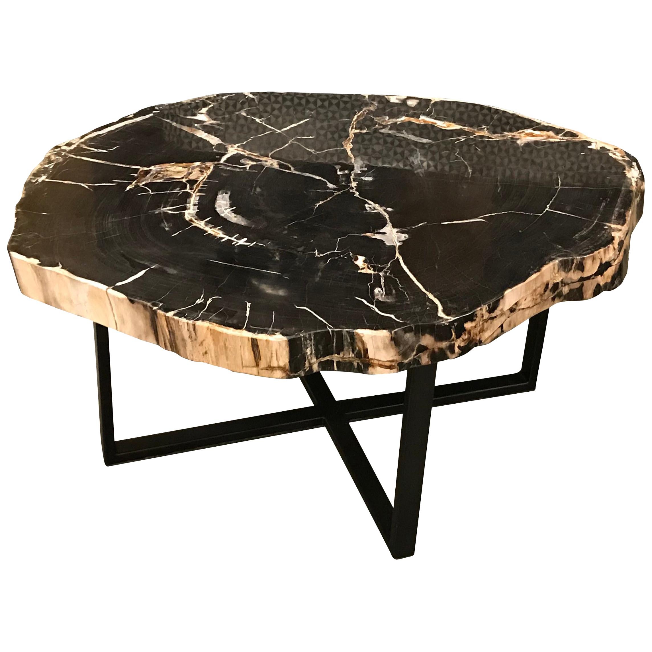 Extra Large Black With Cream Petrified Wood Coffee Table, Indonesia