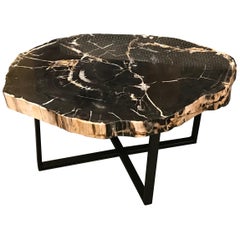 Extra Large Black With Cream Petrified Wood Coffee Table, Indonesia