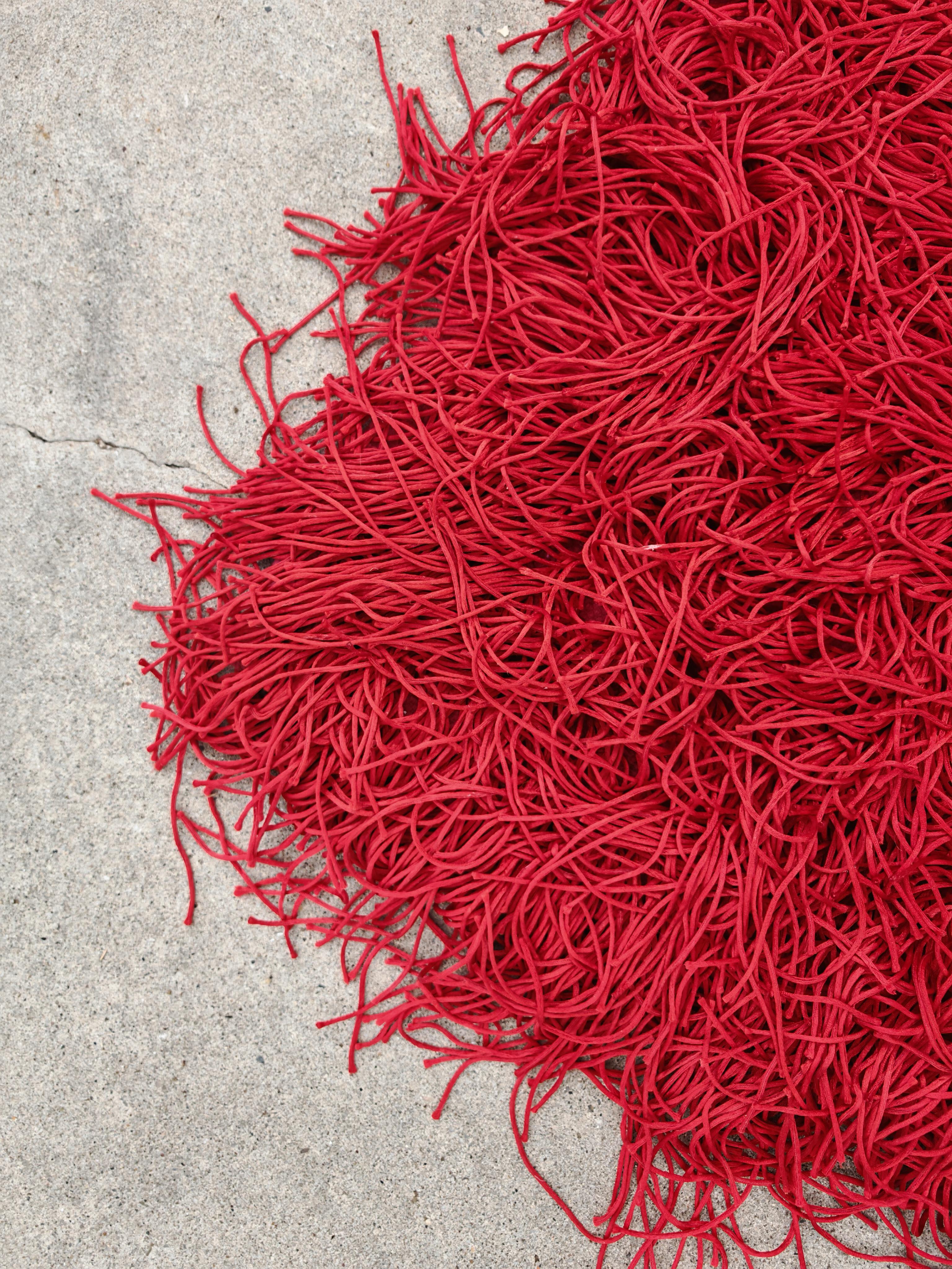 Contemporary Extra Large Postmodern Spaghetti Rug with extra long threads by Kare Design For Sale