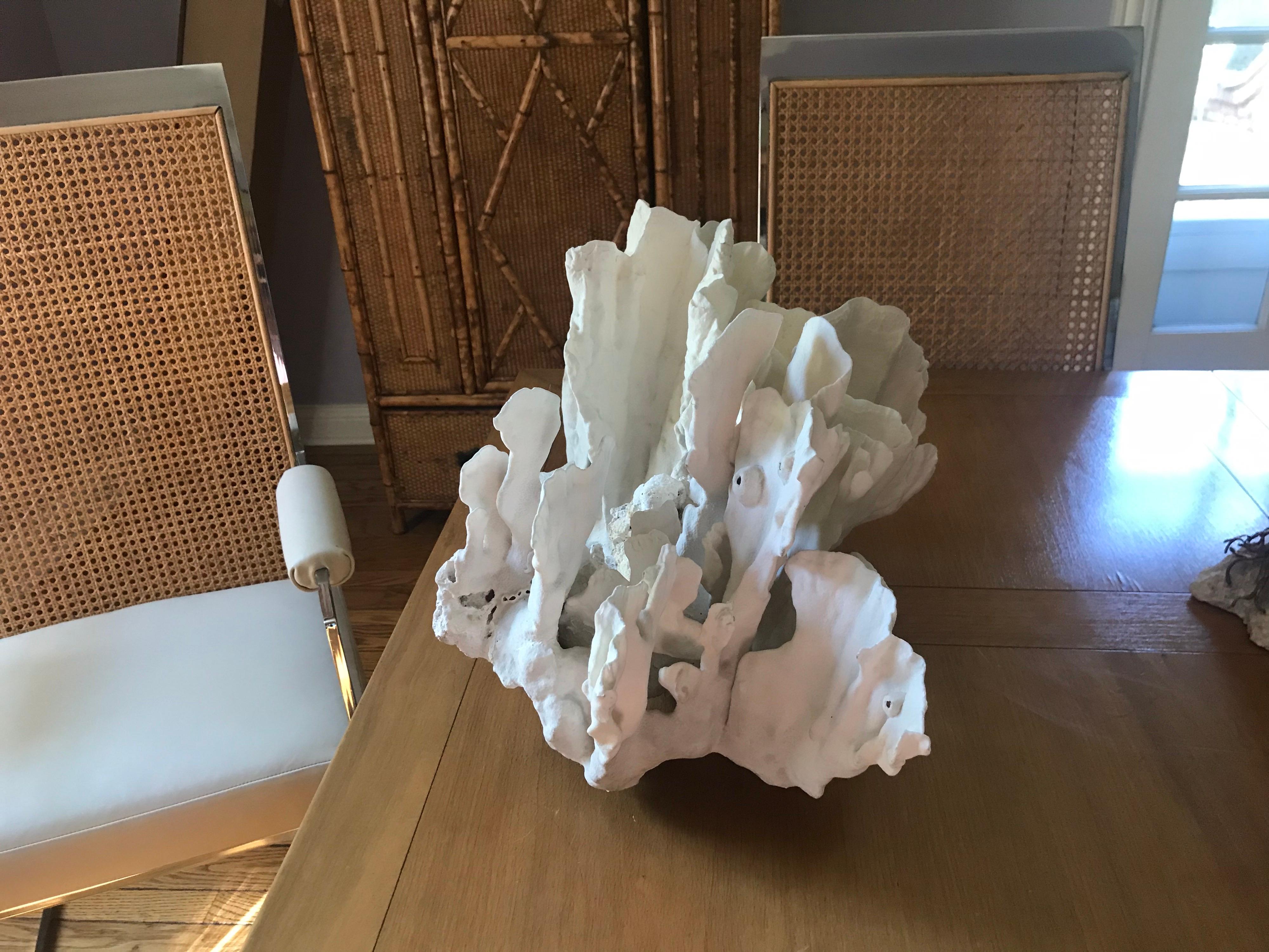 Philippine Extra Large Sculptural Coral