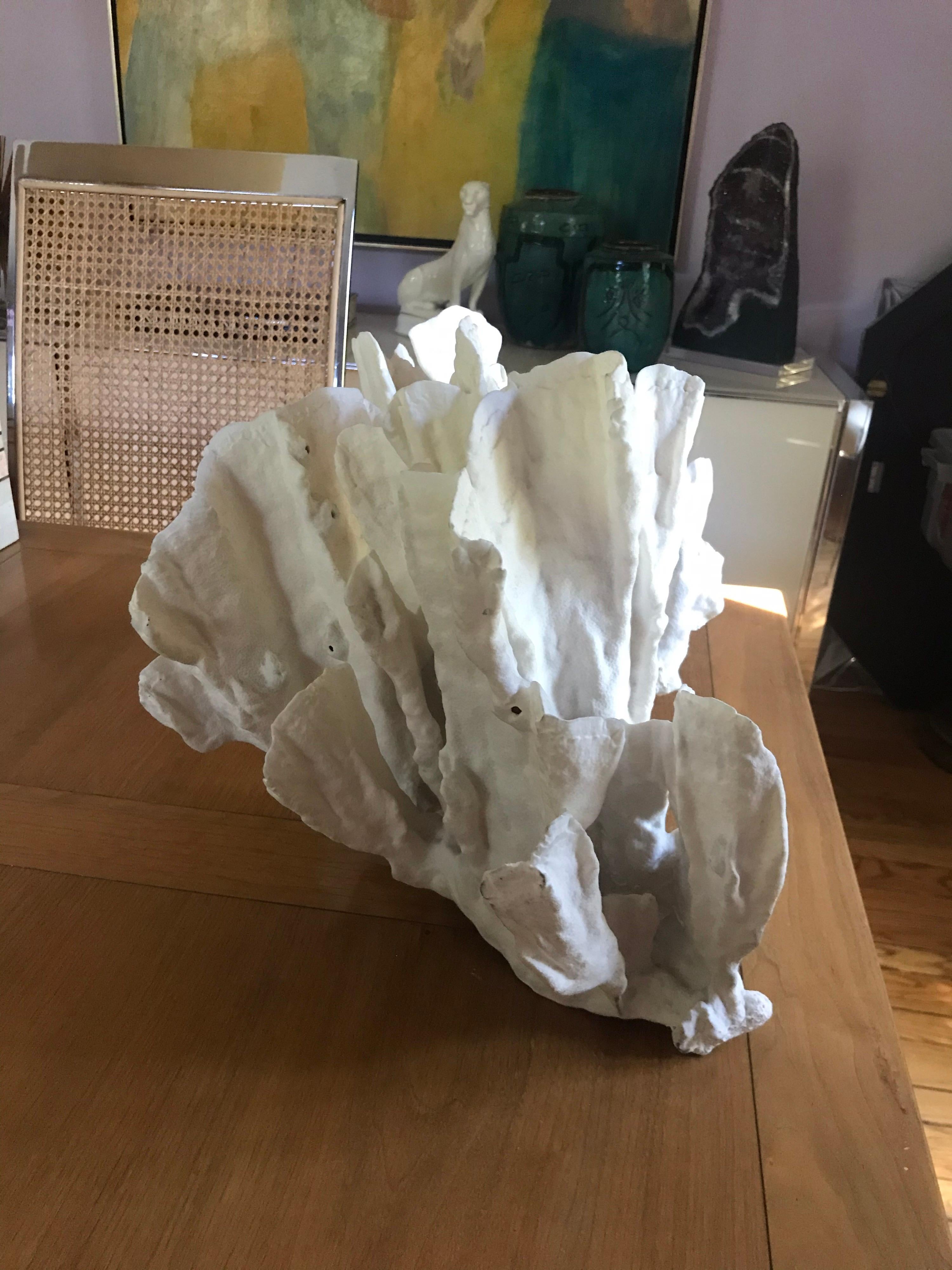 Extra Large Sculptural Coral In Good Condition In Chicago, IL
