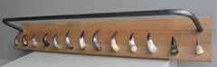 Extra Large Solid Oak, Steel and Cow Horn Wall Coat Rack, France, 1960's