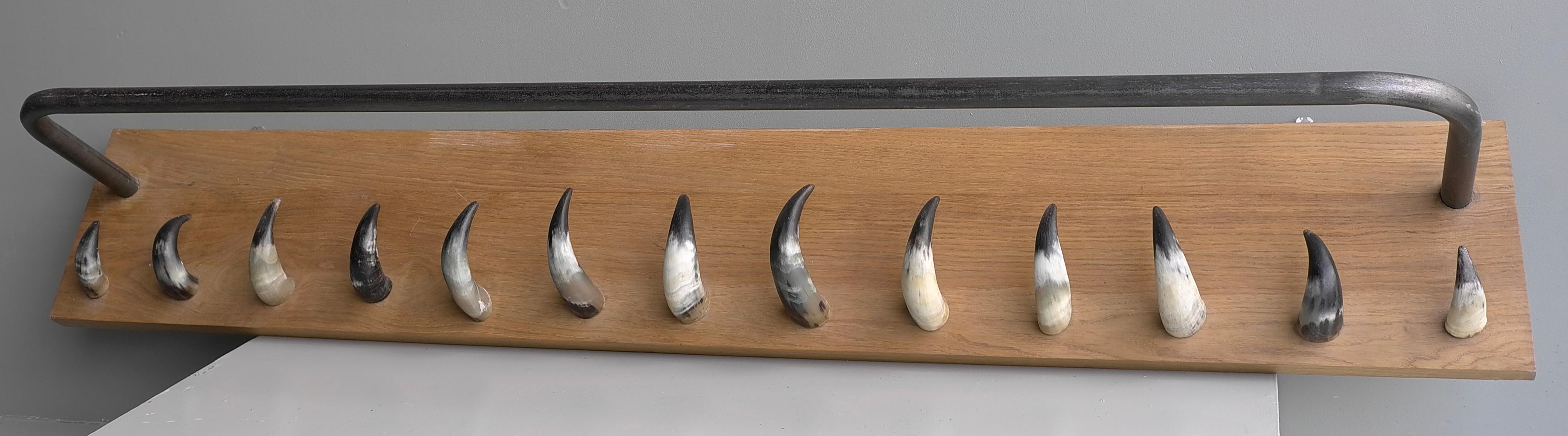 Mid-Century Modern Extra Large Solid Oak, Steel and Cow Horn Wall Coat Rack, France, 1960's For Sale