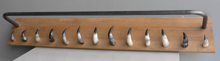Extra Large Solid Oak, Steel and Cow Horn Wall Coat Rack, France, 1960 ...