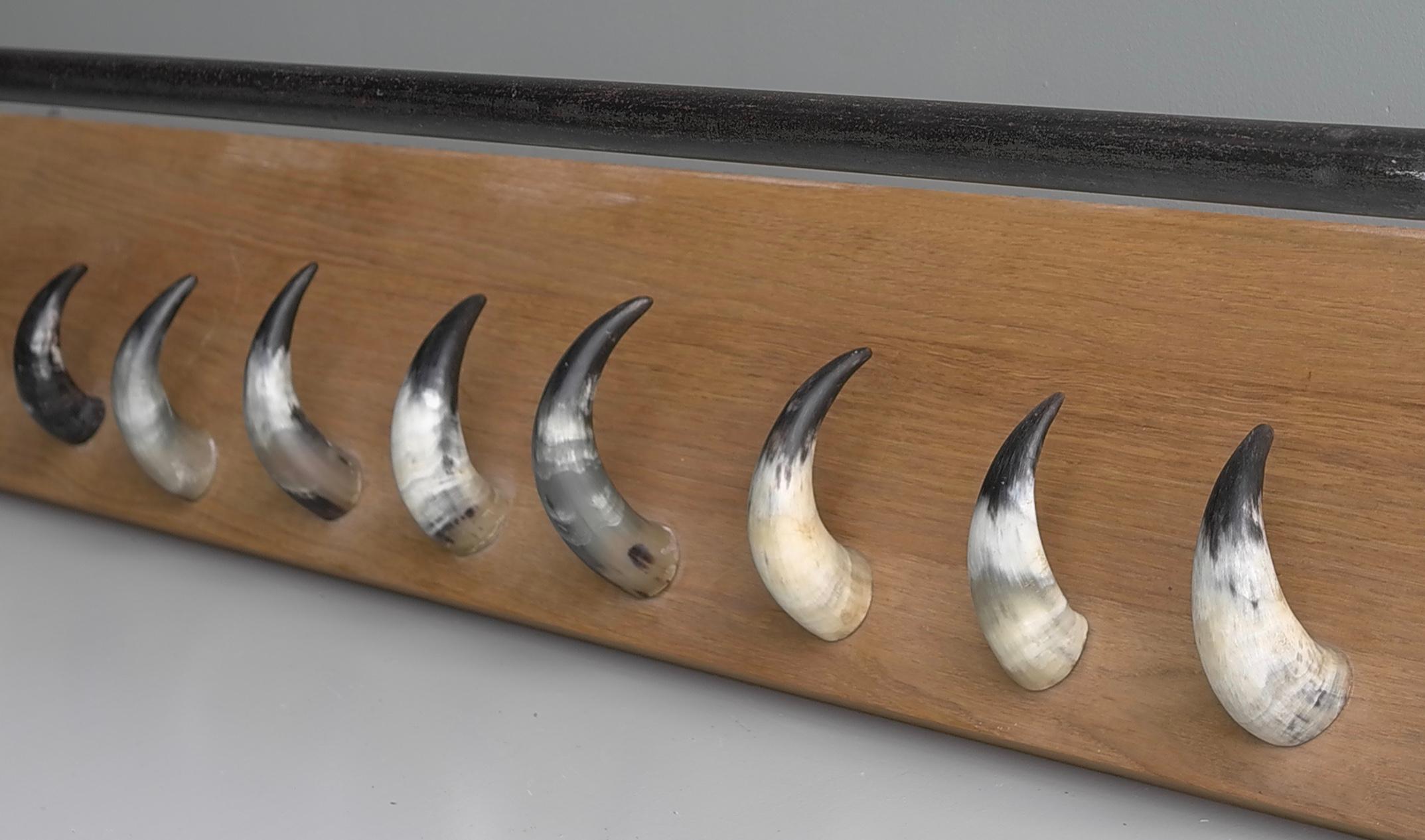 French Extra Large Solid Oak, Steel and Cow Horn Wall Coat Rack, France, 1960's For Sale