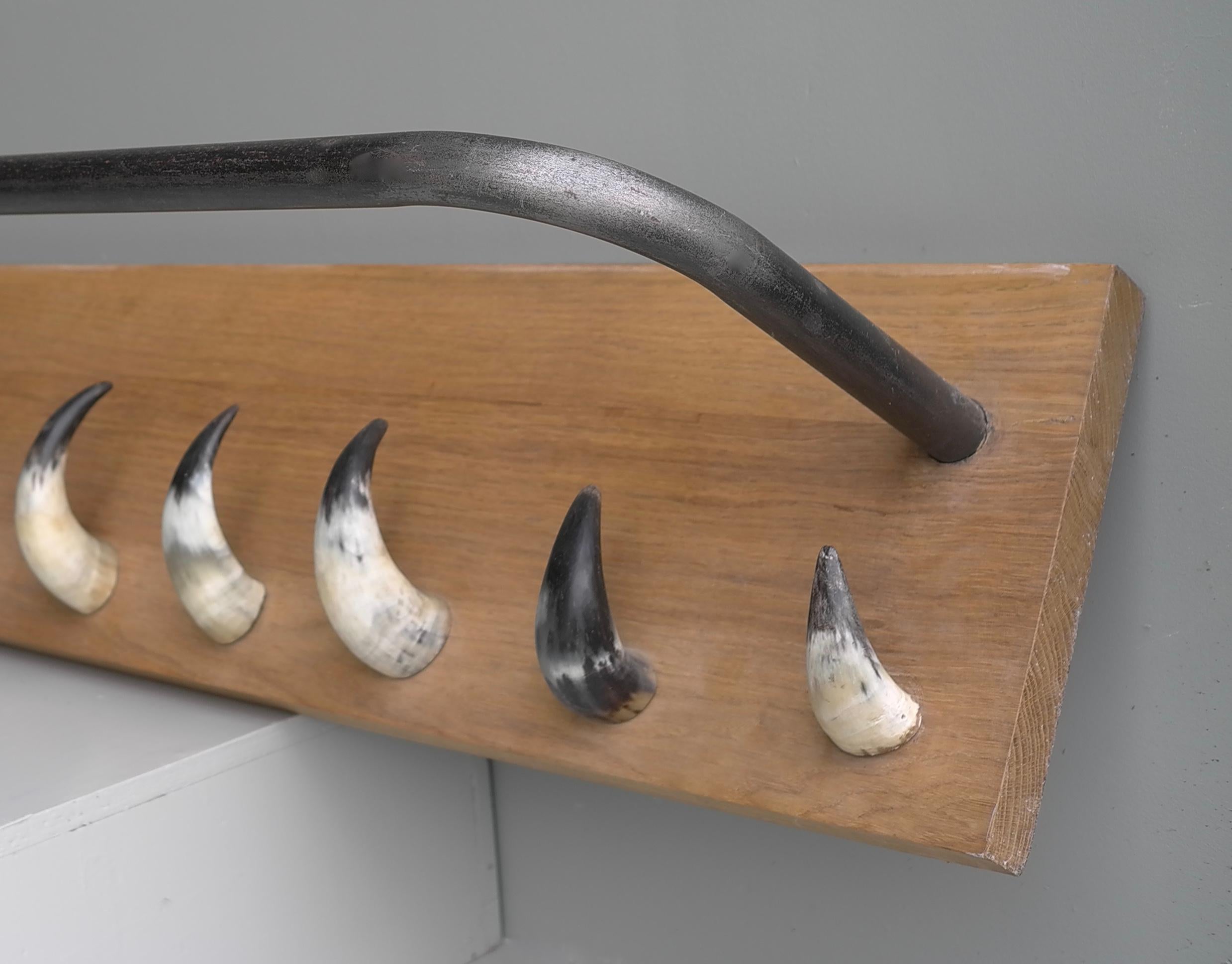 Extra Large Solid Oak, Steel and Cow Horn Wall Coat Rack, France, 1960's In Good Condition For Sale In Den Haag, NL
