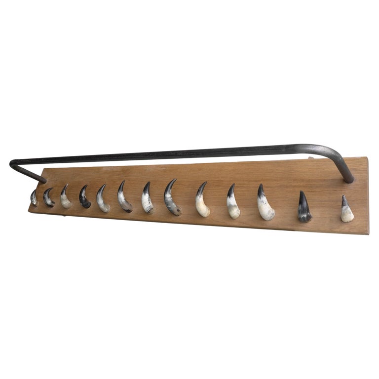 Extra Large Solid Oak, Steel and Cow Horn Wall Coat Rack, France, 1960 ...