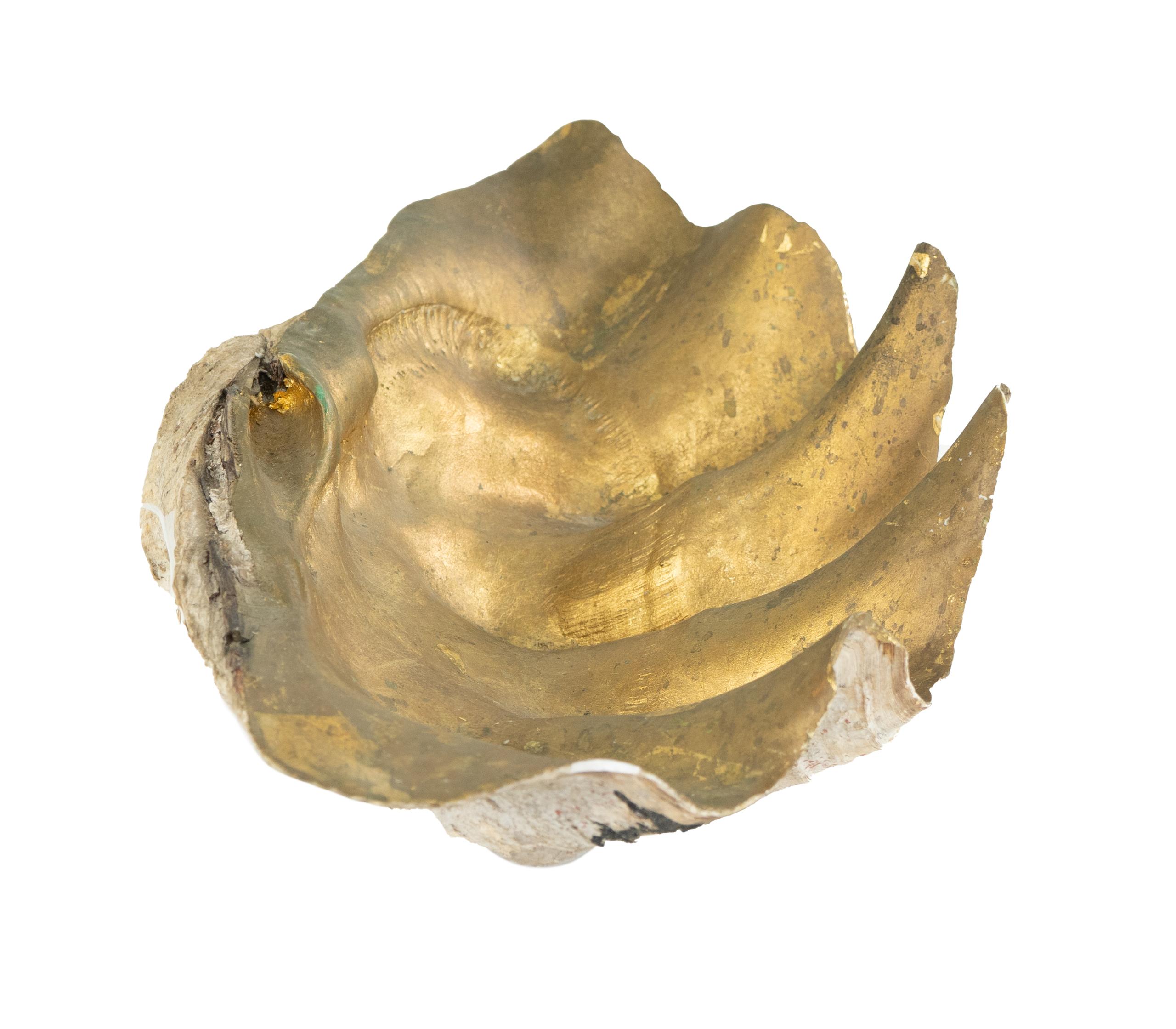 Giant natural organic clam shell with gild gold painted interior.