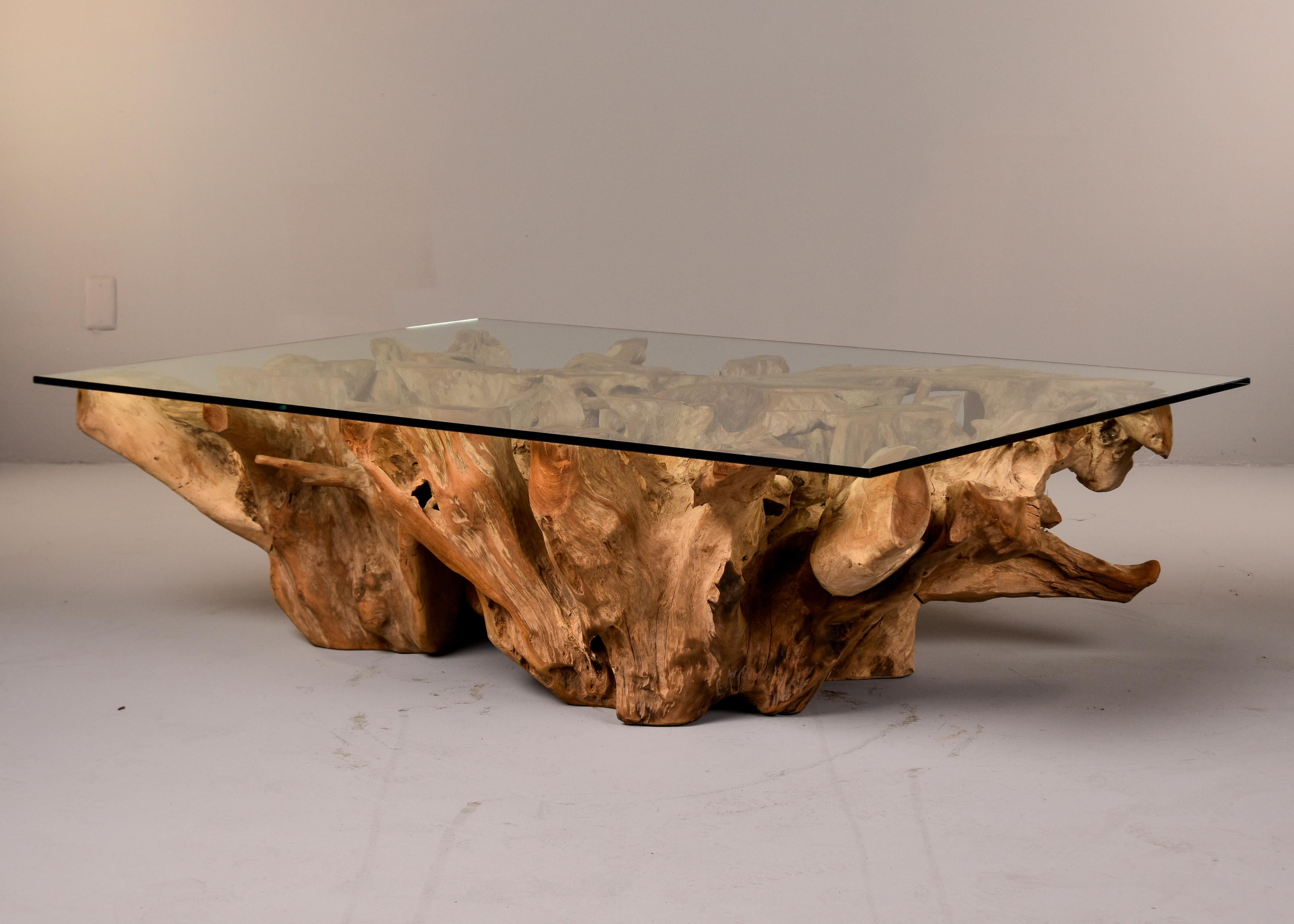 Extra Large Teak Root Base Cocktail or Coffee Table 1