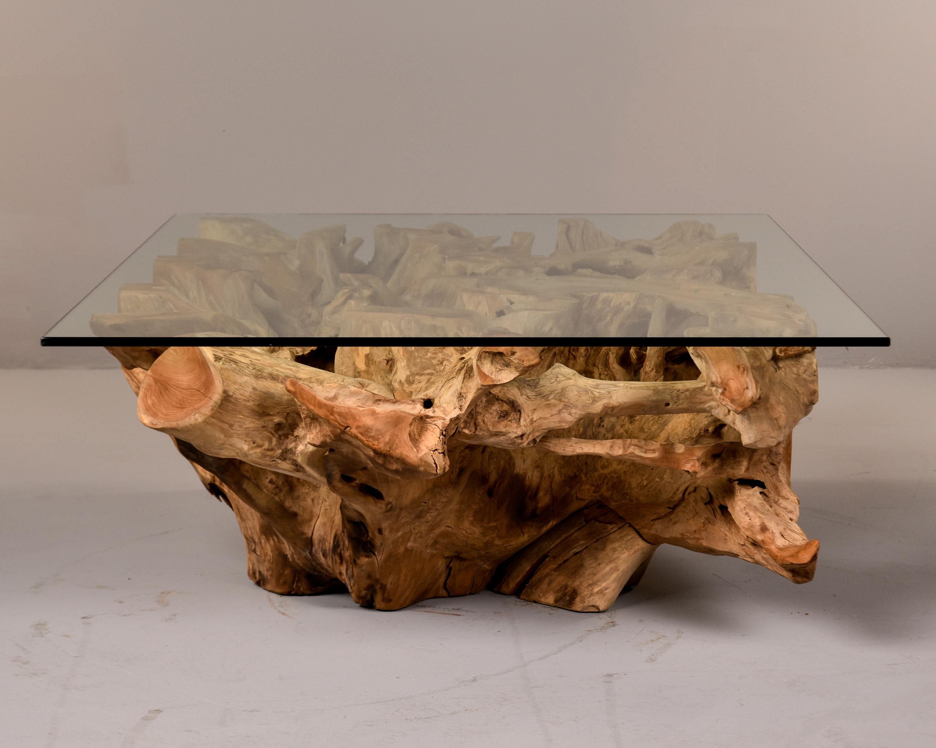 Extra Large Teak Root Base Cocktail or Coffee Table 2