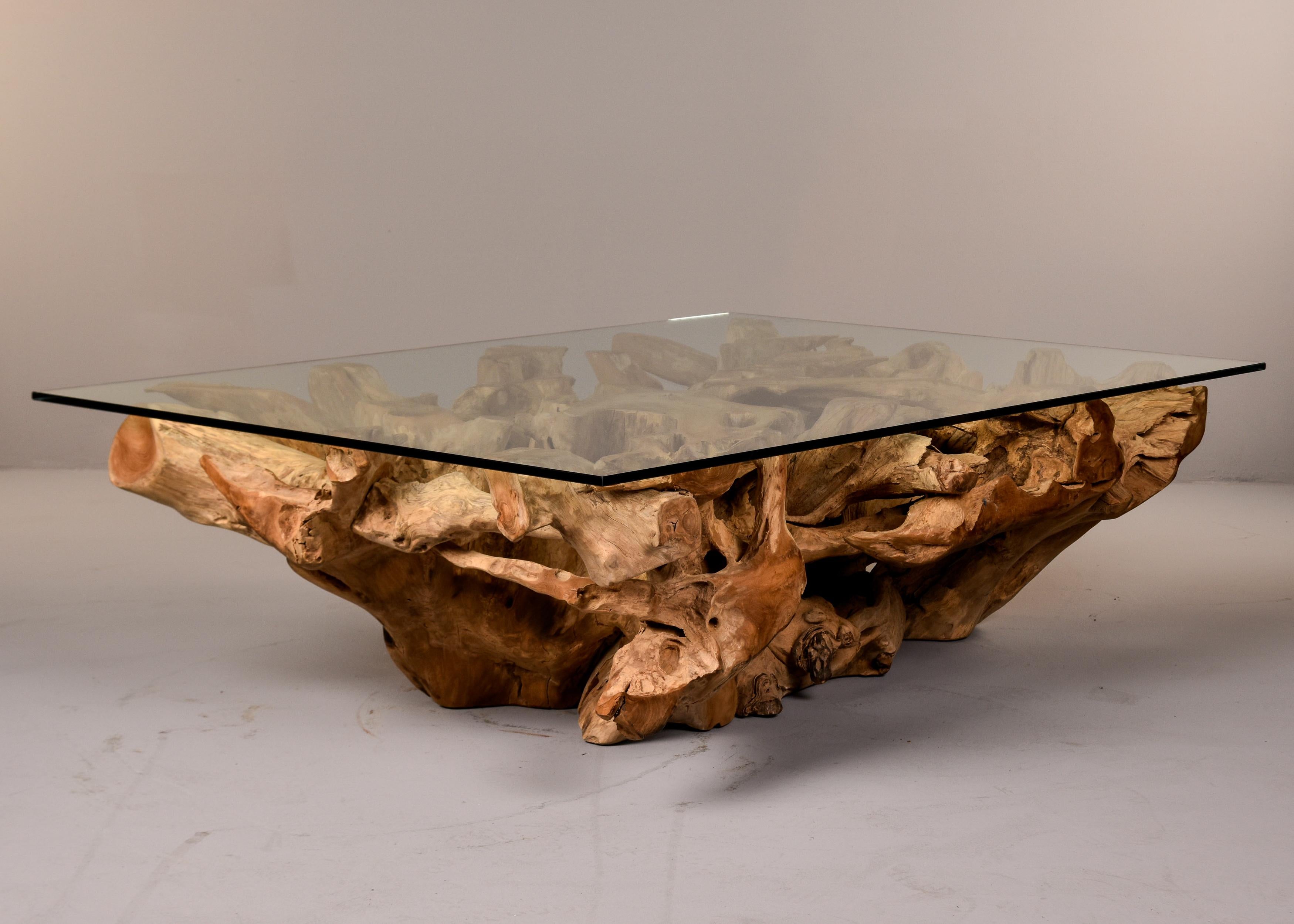 Extra Large Teak Root Base Cocktail or Coffee Table 3