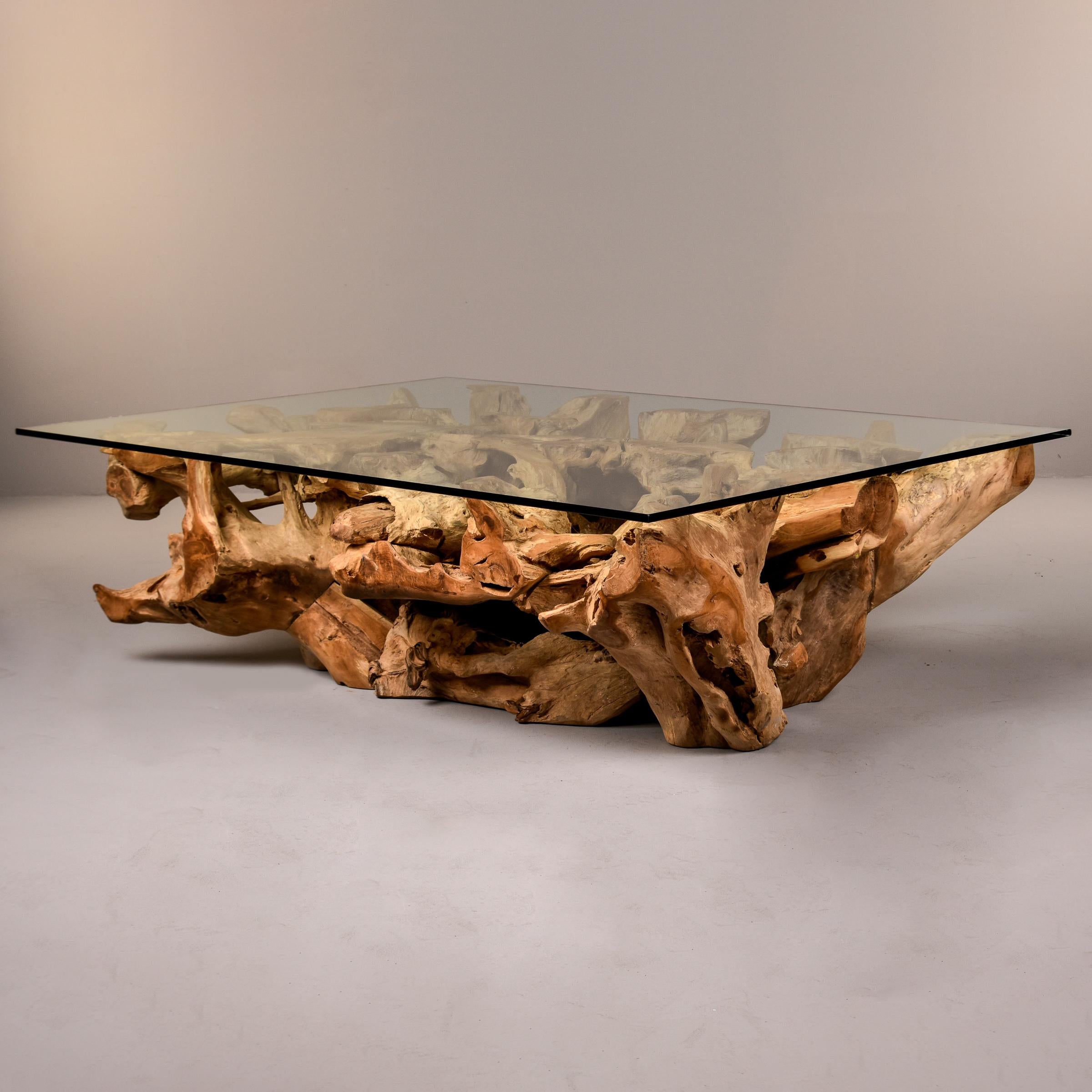 Dramatic, extra large coffee or cocktail table that consists of a sculptural teak root base and thick, clear glass top. Teak root base has been cut so that glass is well-supported and sits level. Teak has interesting color variation and shape3995.