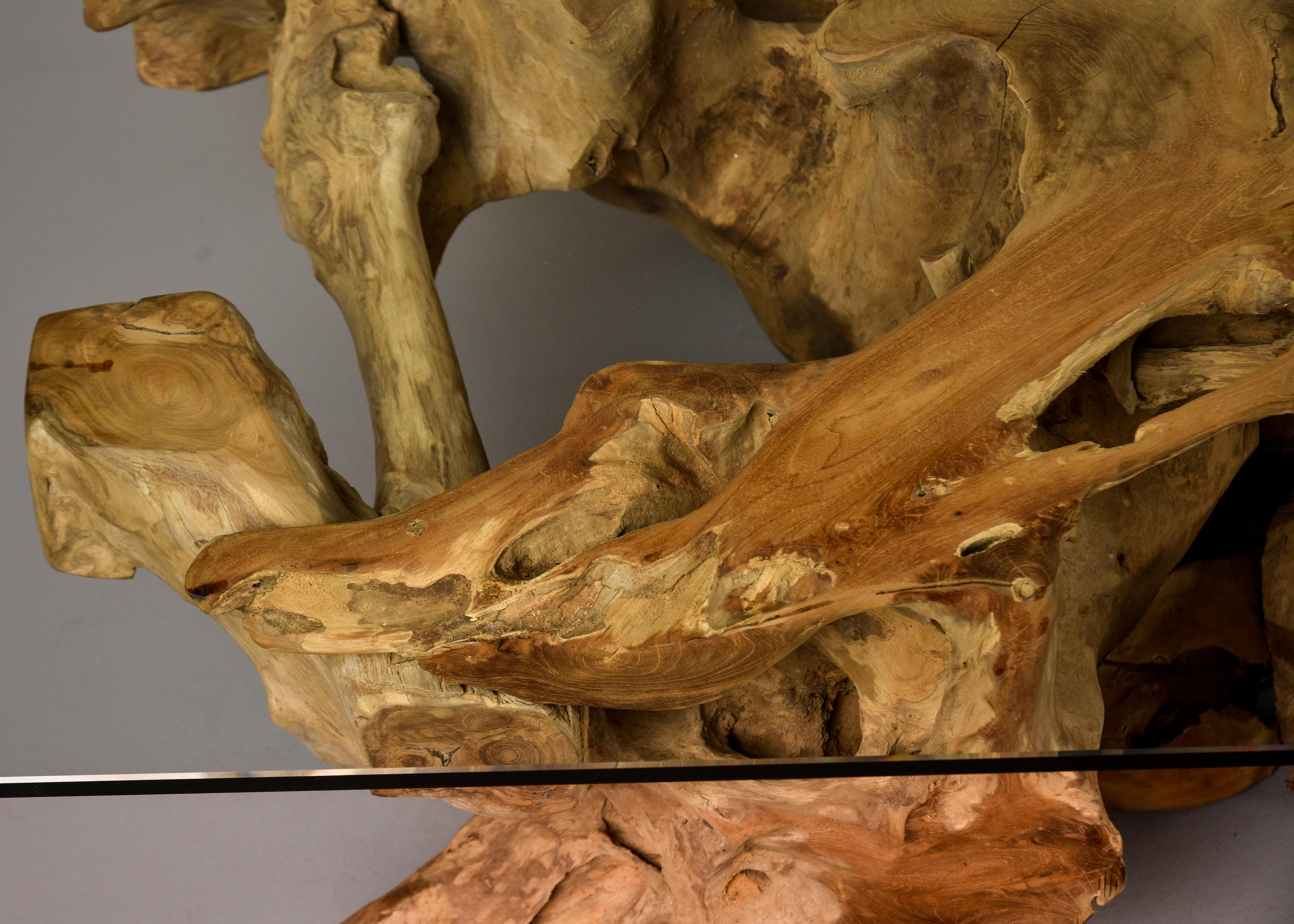 Rustic Extra Large Teak Root Base Cocktail or Coffee Table