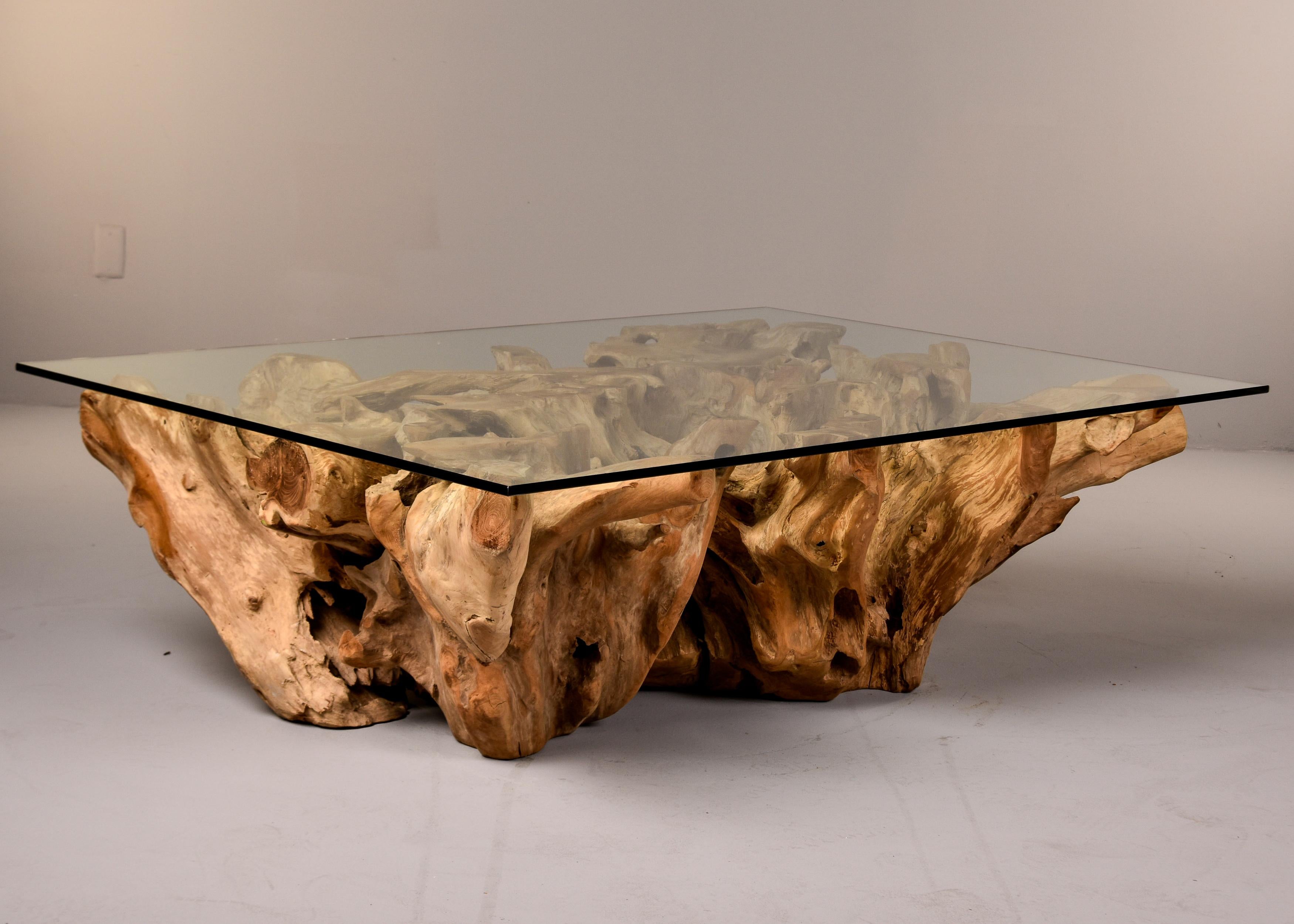 Contemporary Extra Large Teak Root Base Cocktail or Coffee Table