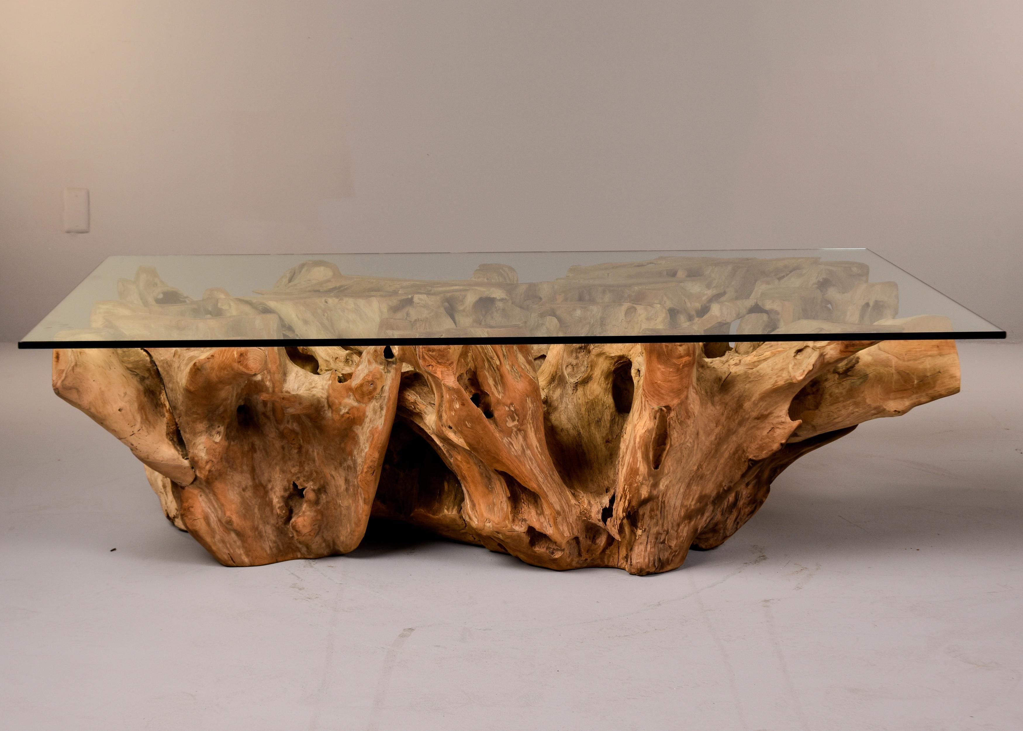 Glass Extra Large Teak Root Base Cocktail or Coffee Table