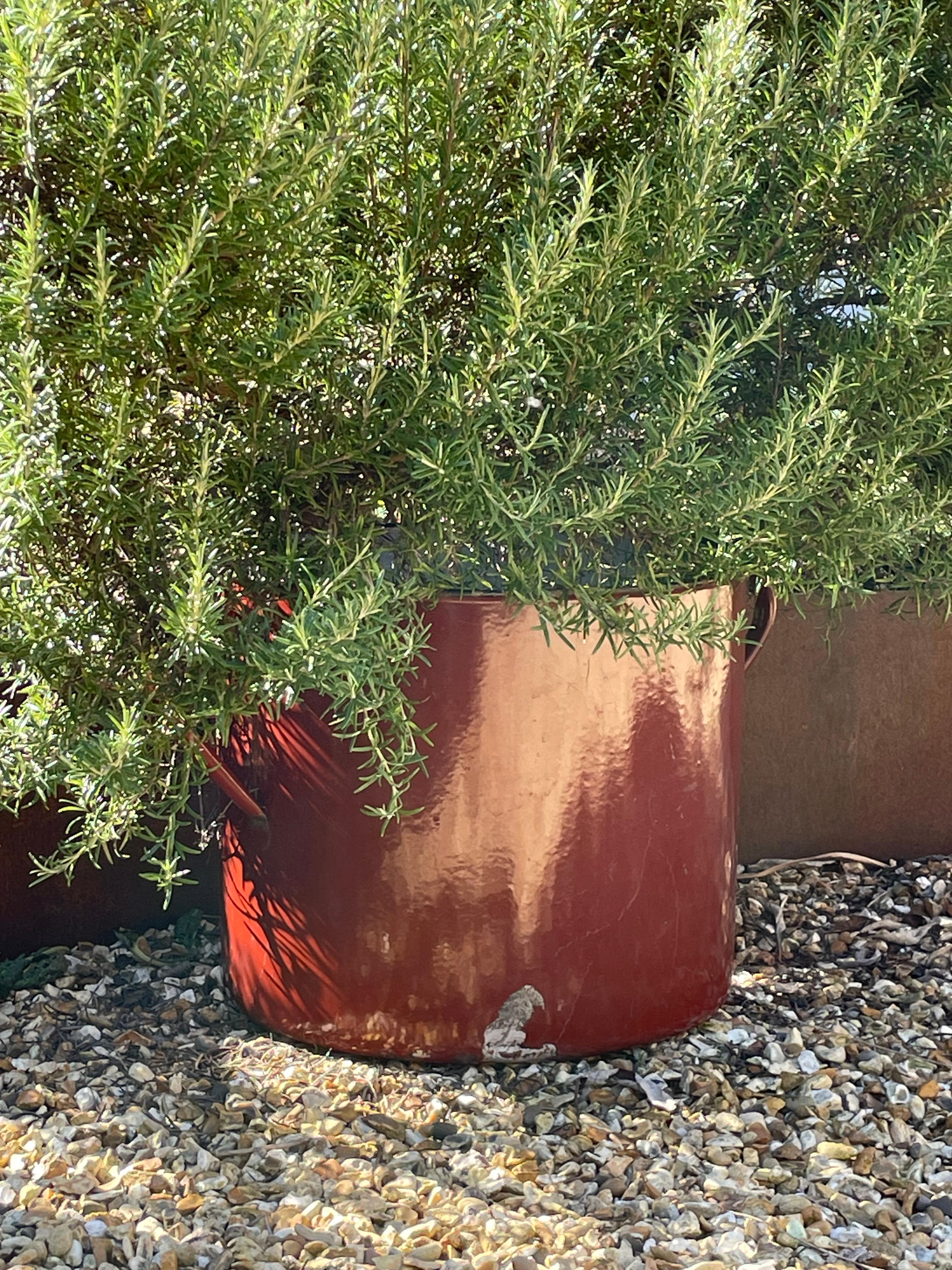 20th Century Extra Large Vintage Industrial Oxide Red Enamelled Metal Planter For Sale