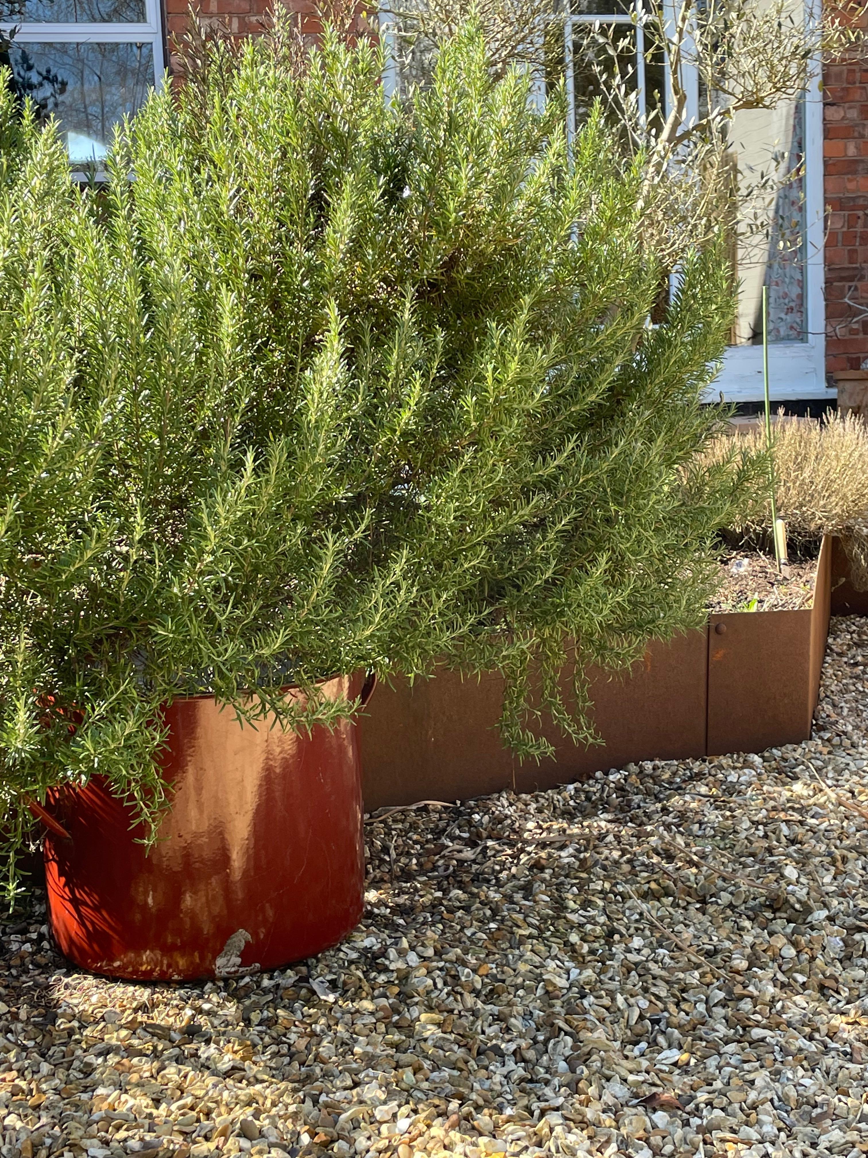 Jardinera vintage extragrande de metal esmaltado rojo óxido industrial siglo XX en venta