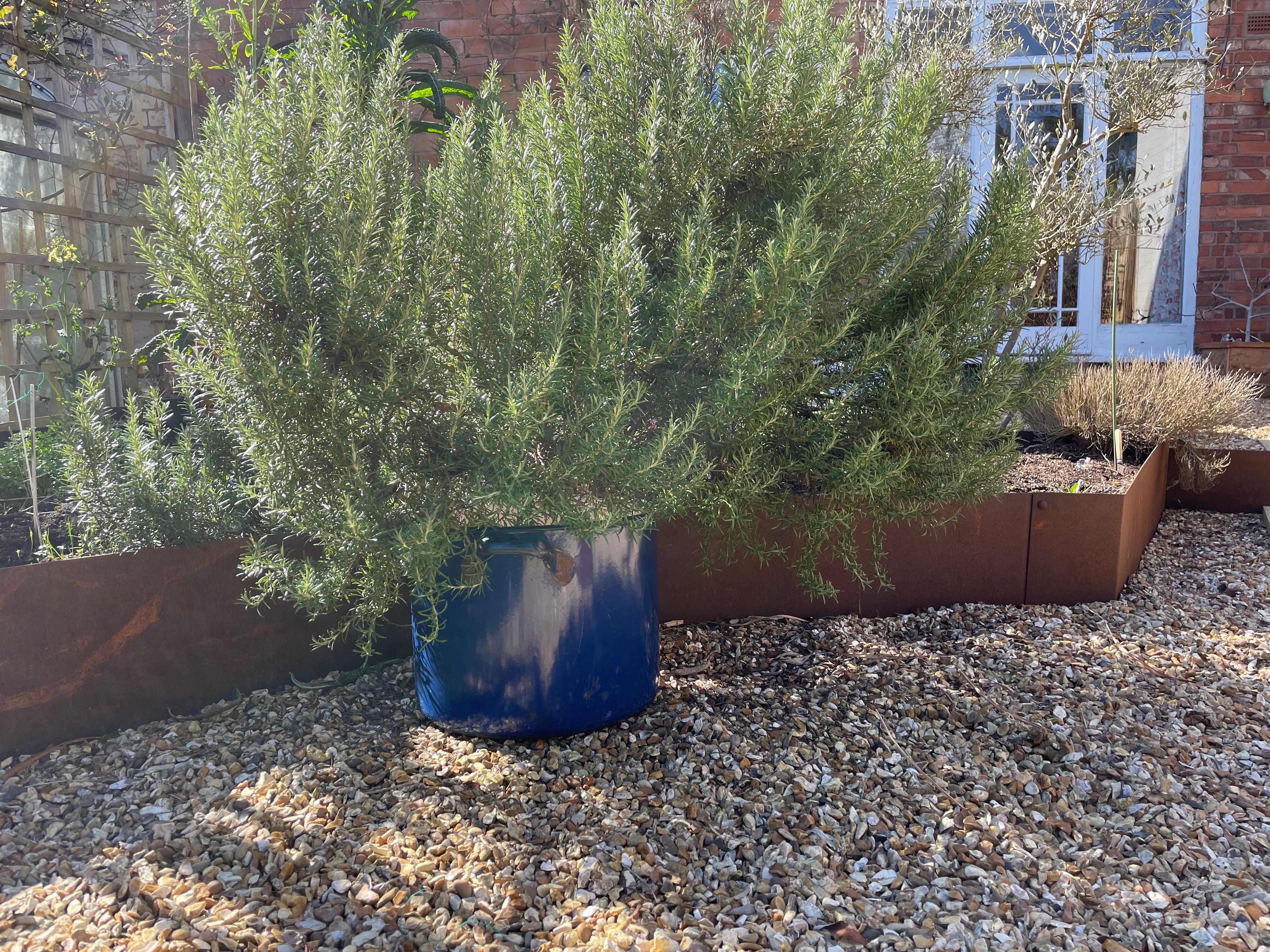 Extra Large Vintage Industrial Royal Blue Enamelled Metal Planter In Fair Condition For Sale In Leicester, GB