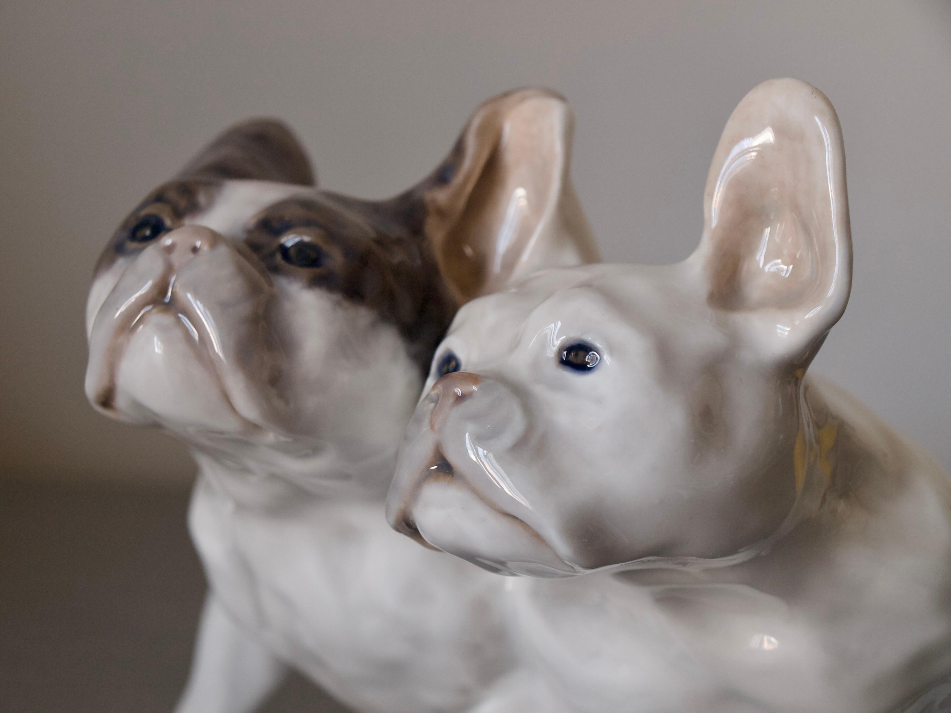 Seltene Royal Copenhagen Französische Bulldogge-Porzellanfigur // Knud Kyhn (Dänisch)