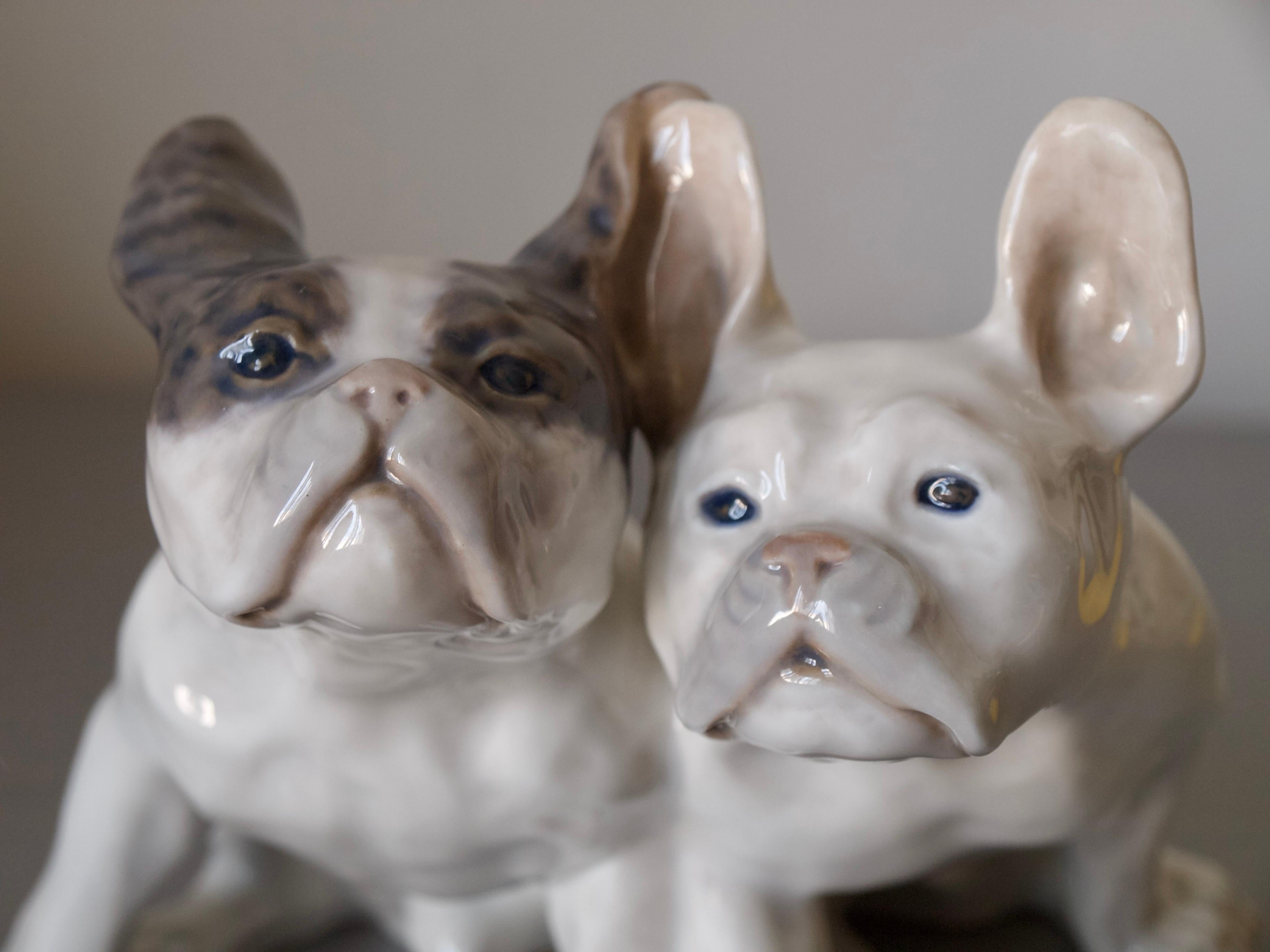 Danois Extra rare // Figurine en porcelaine Royal Copenhagen French Bulldogs // Knud Kyhn