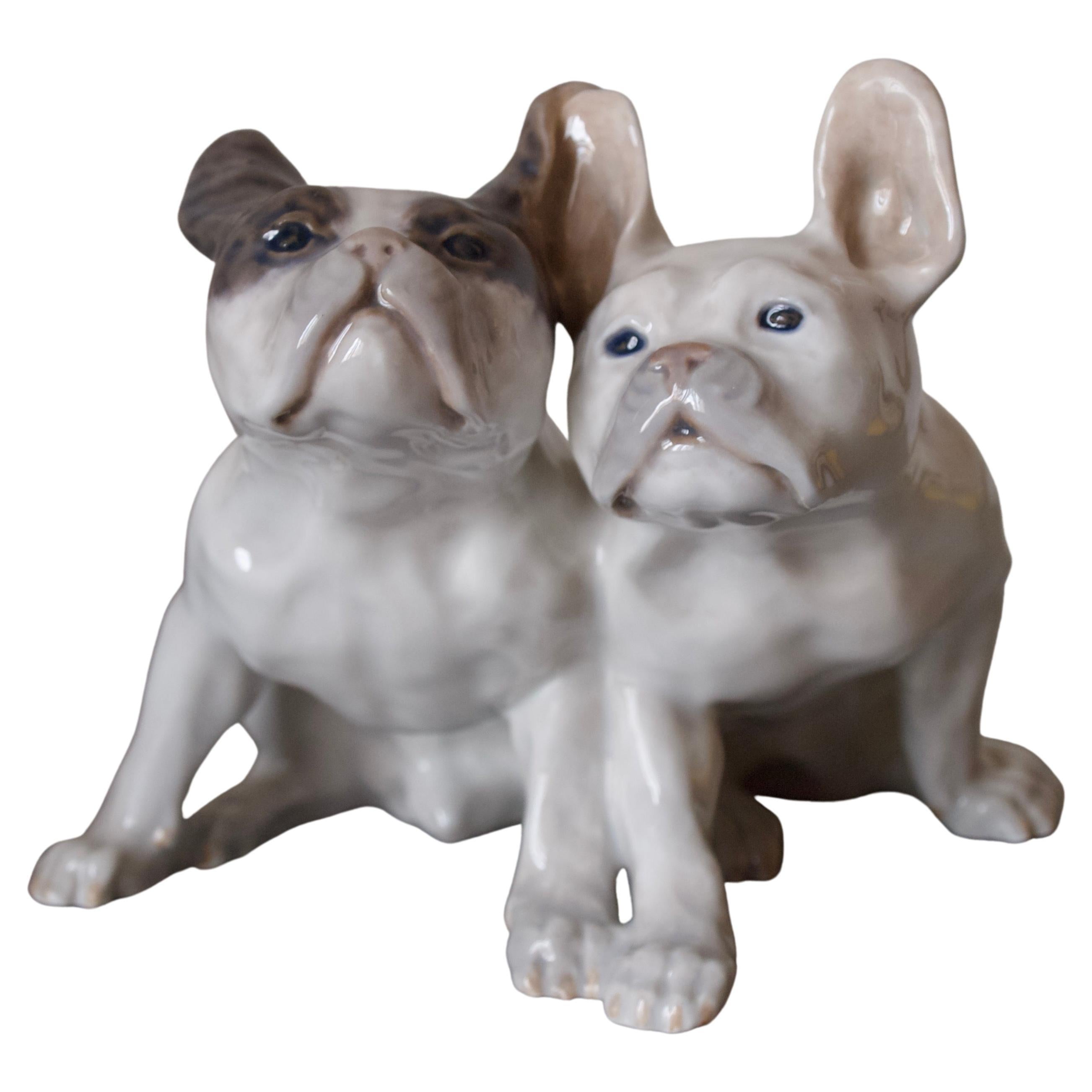 Extra rare // Figurine en porcelaine Royal Copenhagen French Bulldogs // Knud Kyhn