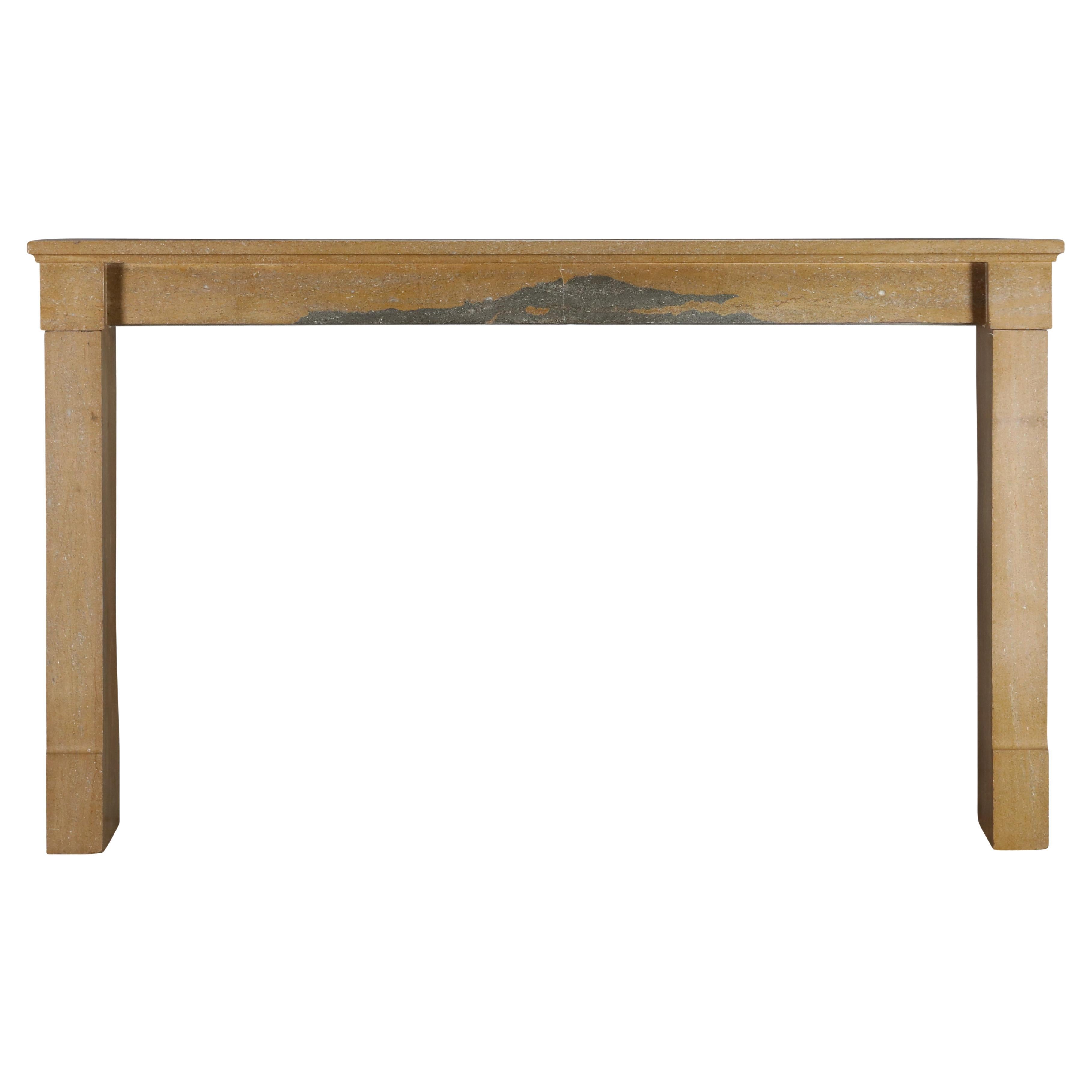 Extra Wide Fireplace Mantel 19th-century French Minimalist Louis Philip Design