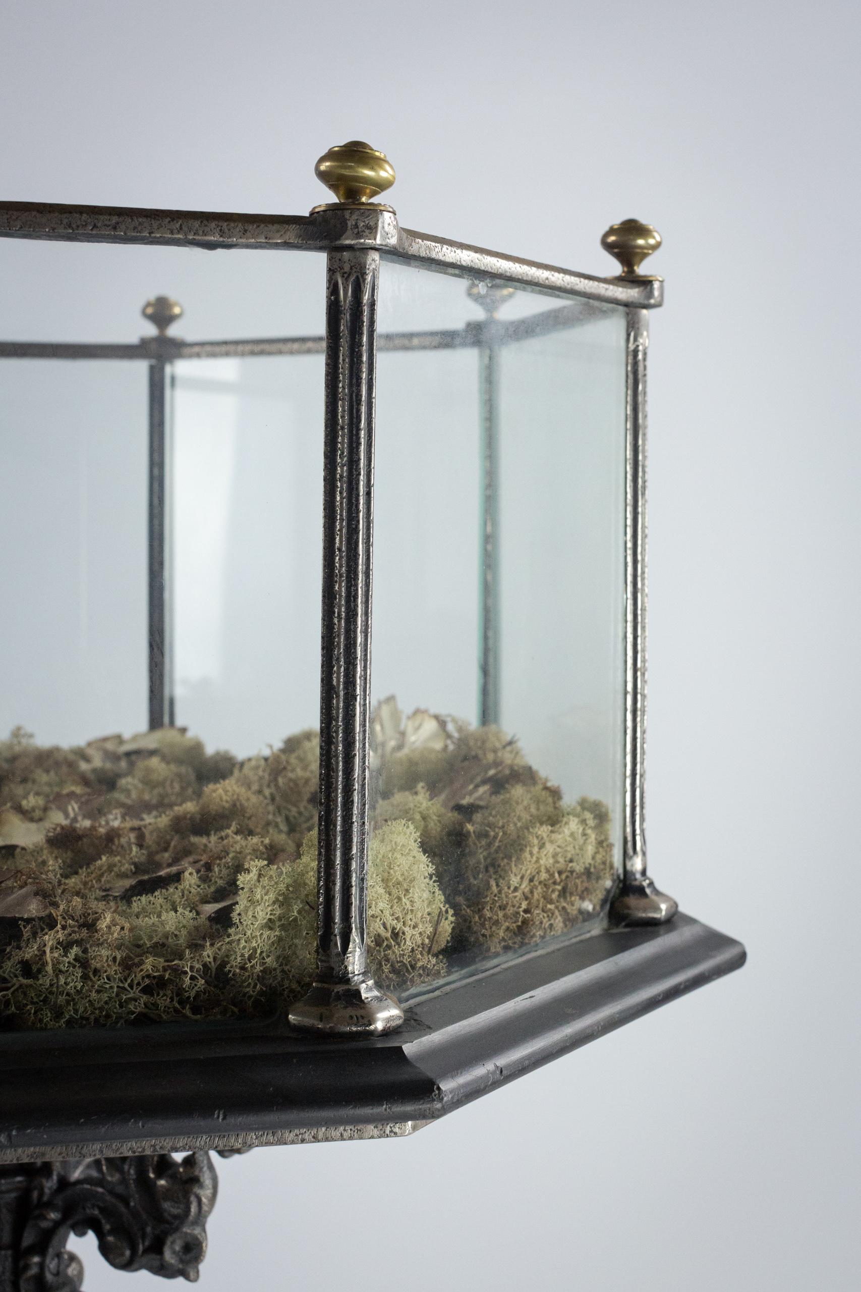 Extraordinary 19th Century Aquarium 7