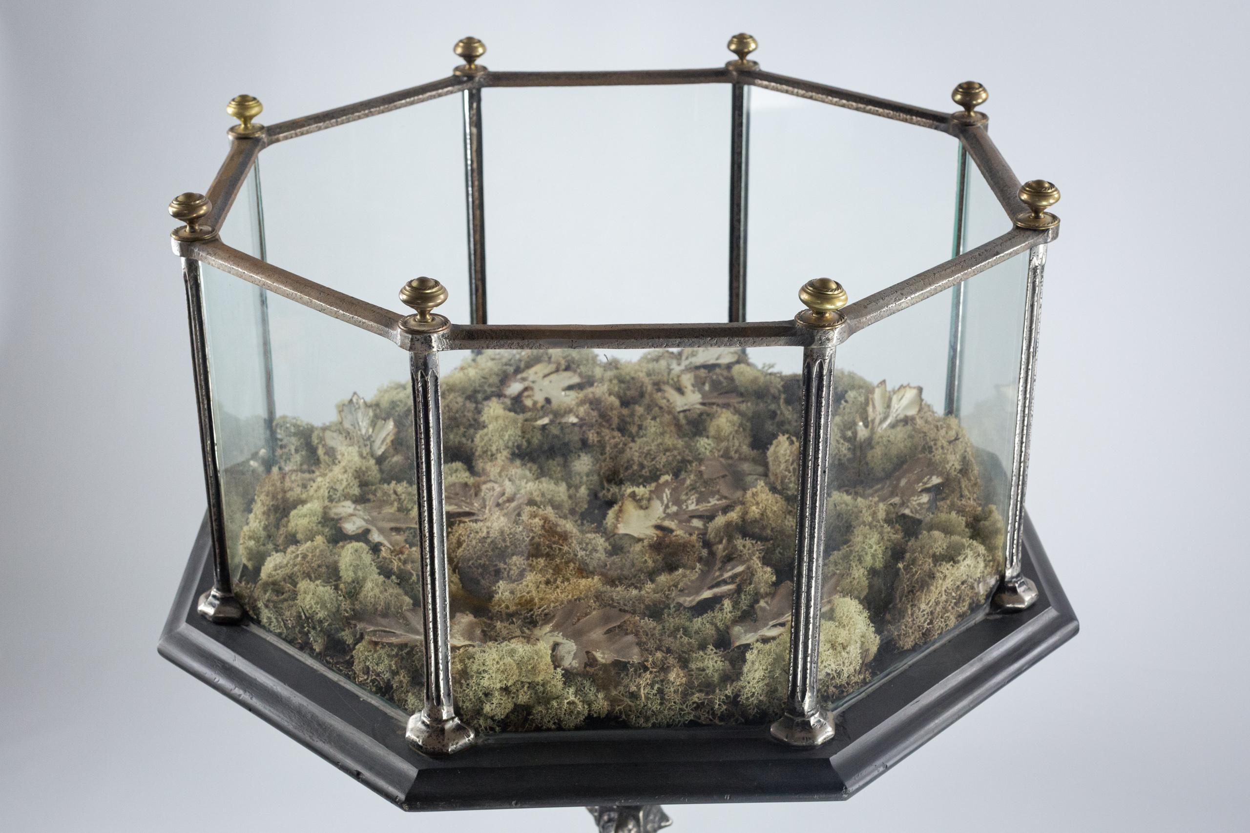 Extraordinary 19th Century Aquarium 9